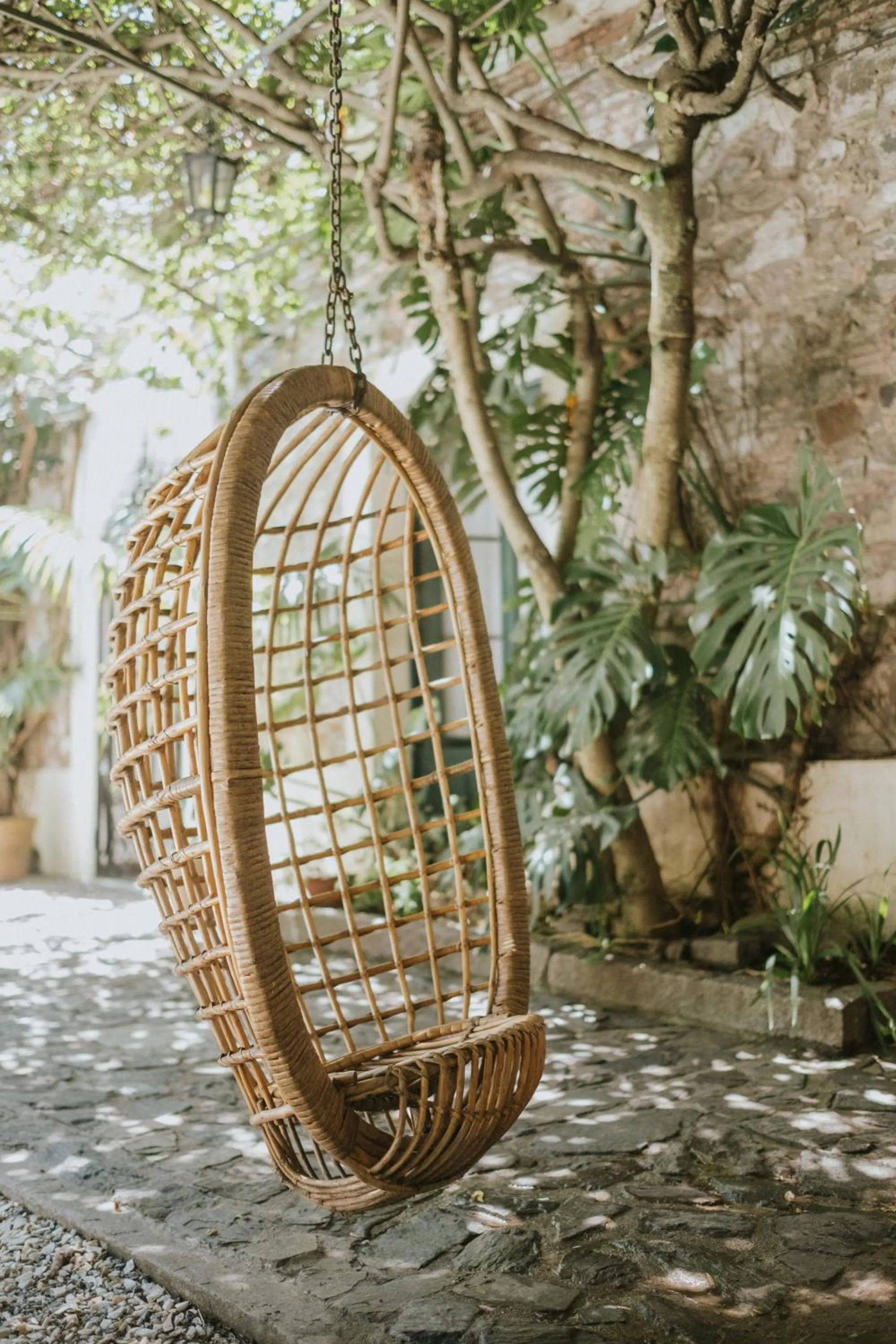 Garden in Posada Plaza Mayor