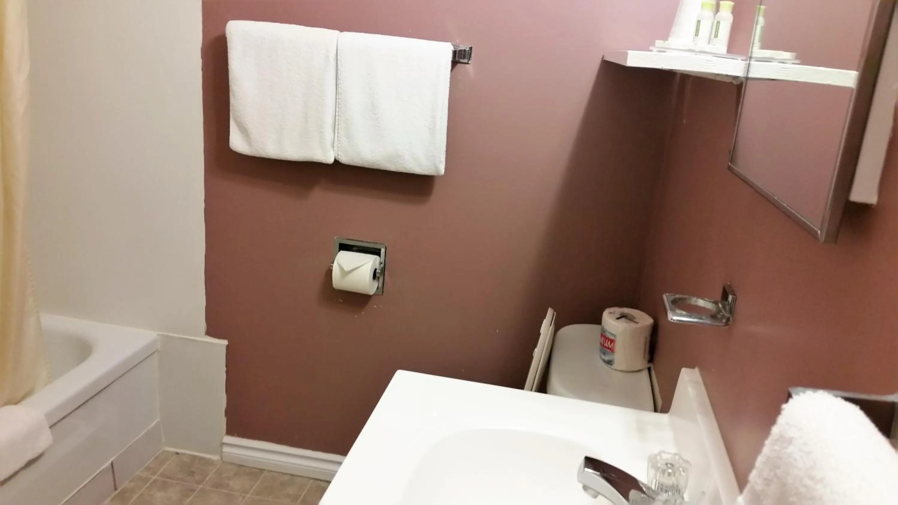 Bathroom in Viking Lamplighter Motel