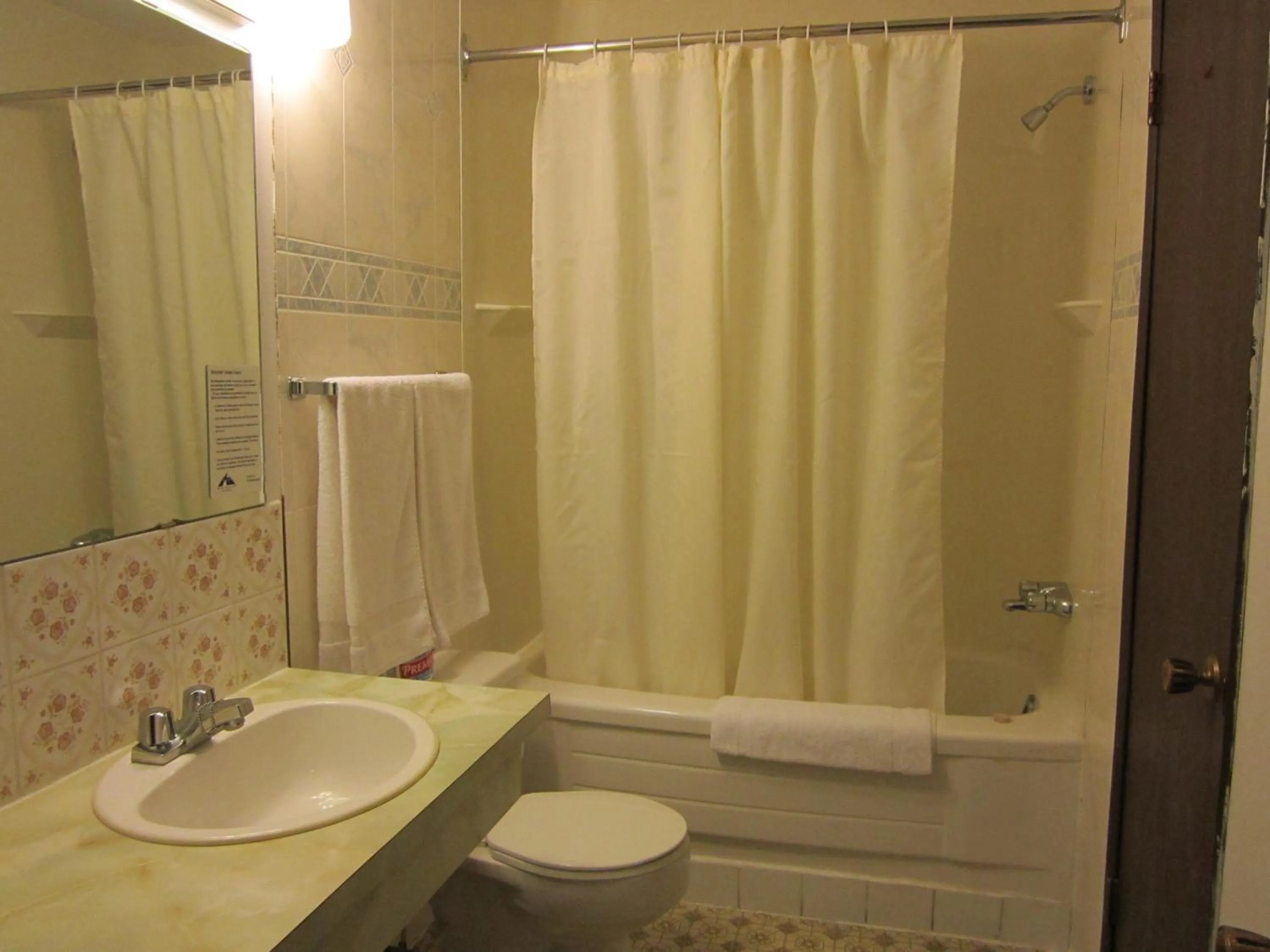 Bathroom in Viking Lamplighter Motel