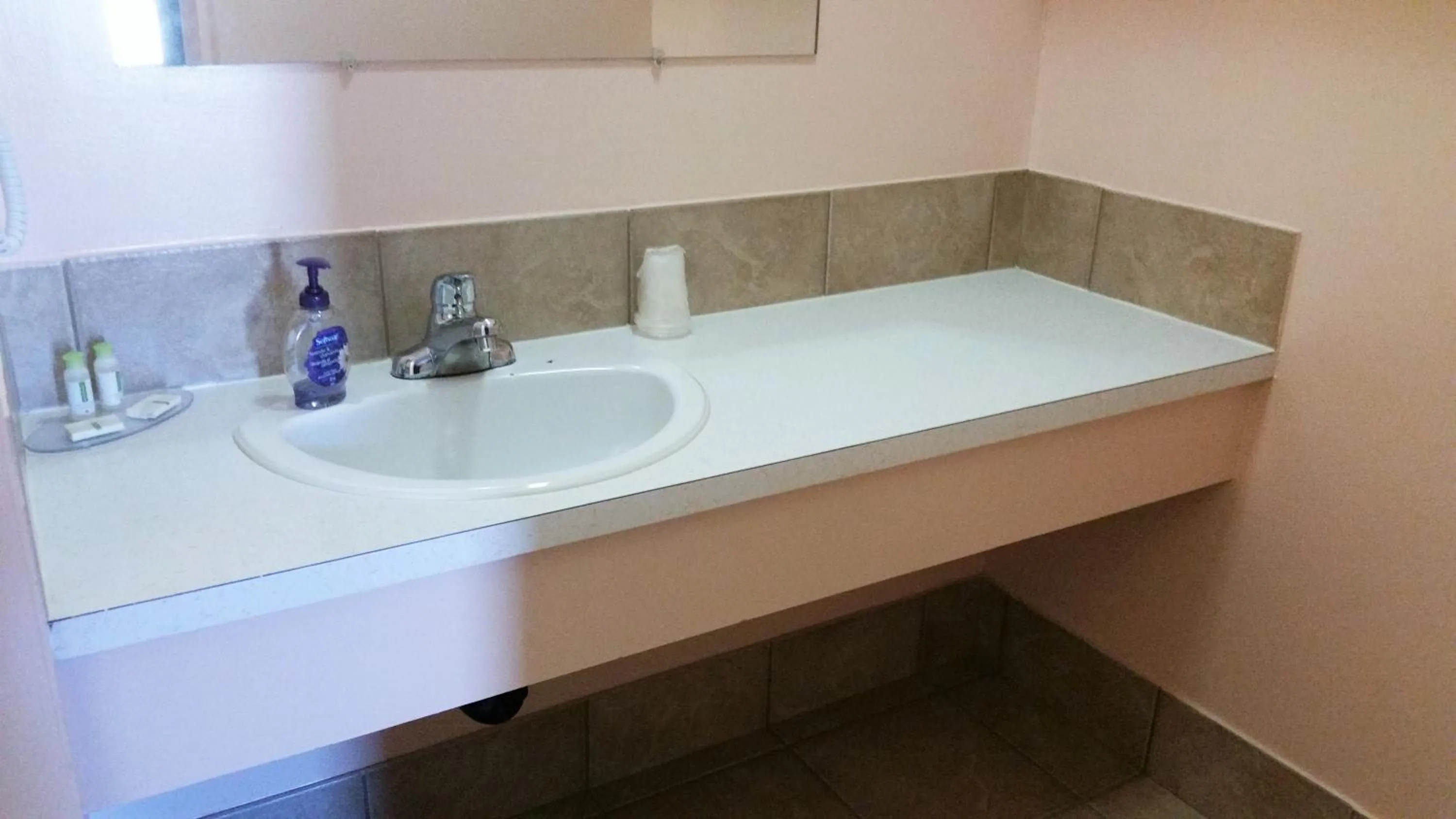 Bathroom in Viking Lamplighter Motel