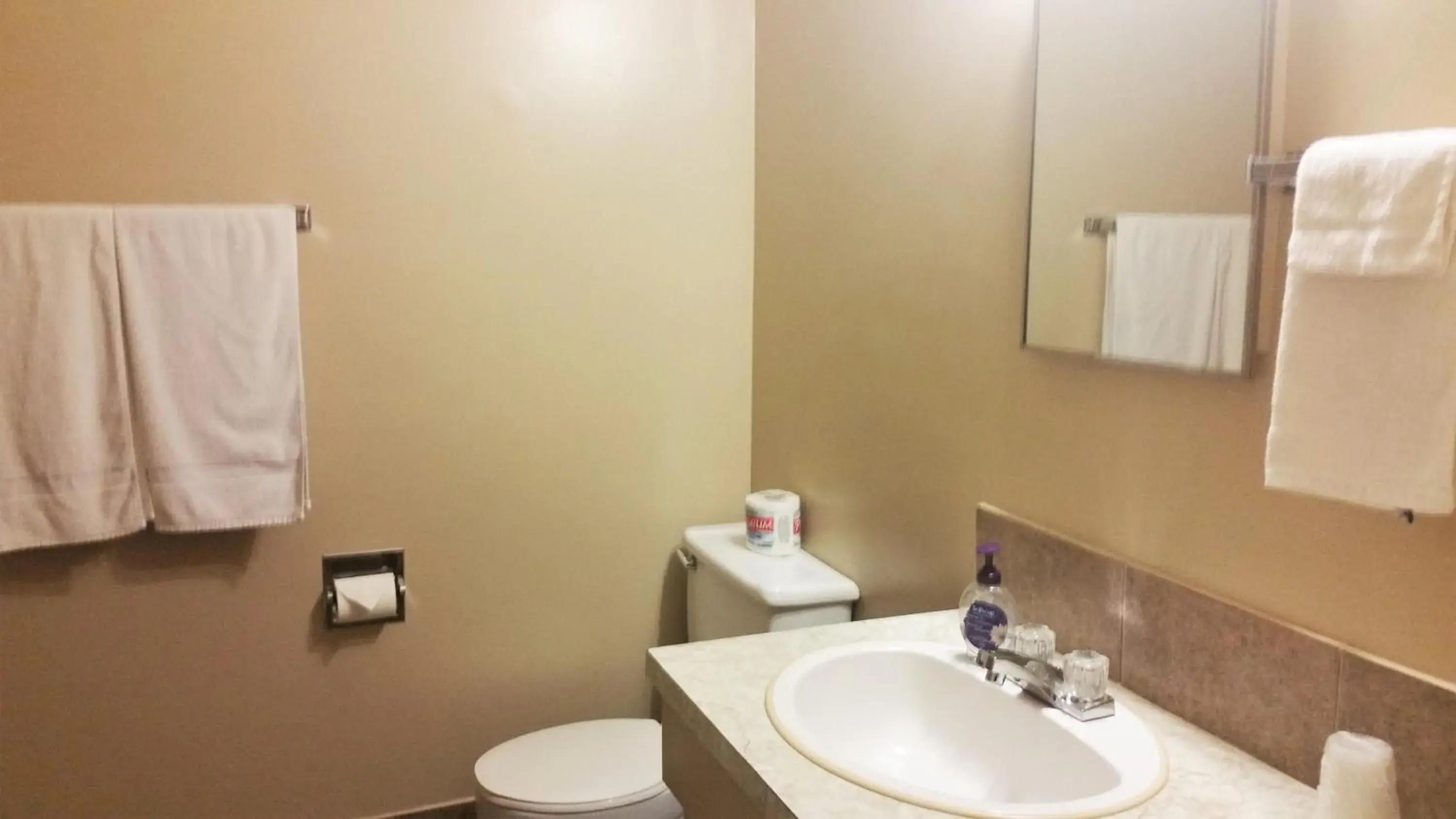 Standard Triple Room in Viking Lamplighter Motel Standard Triple Room in Viking Lamplighter Motel