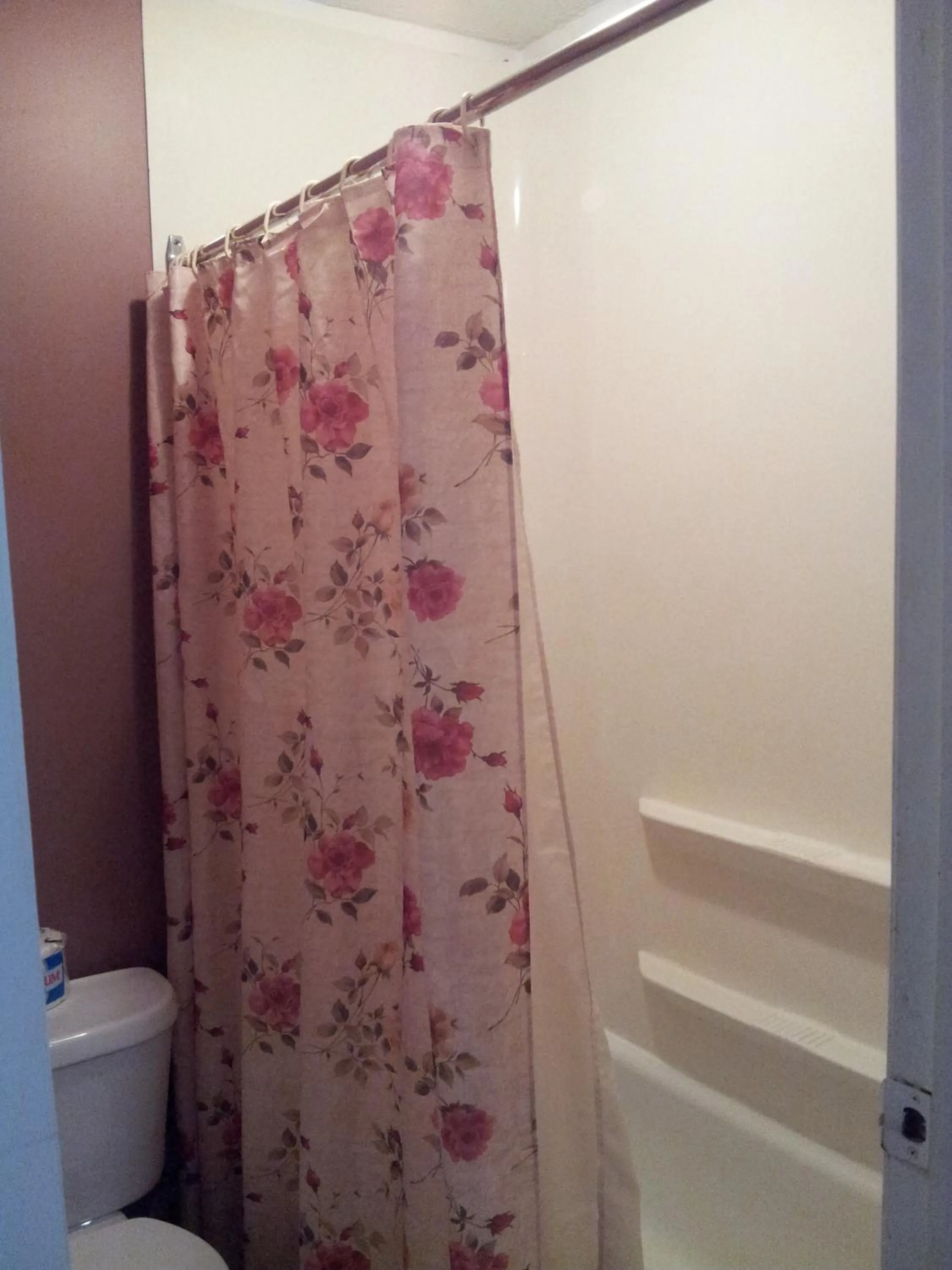 Bathroom in Viking Lamplighter Motel