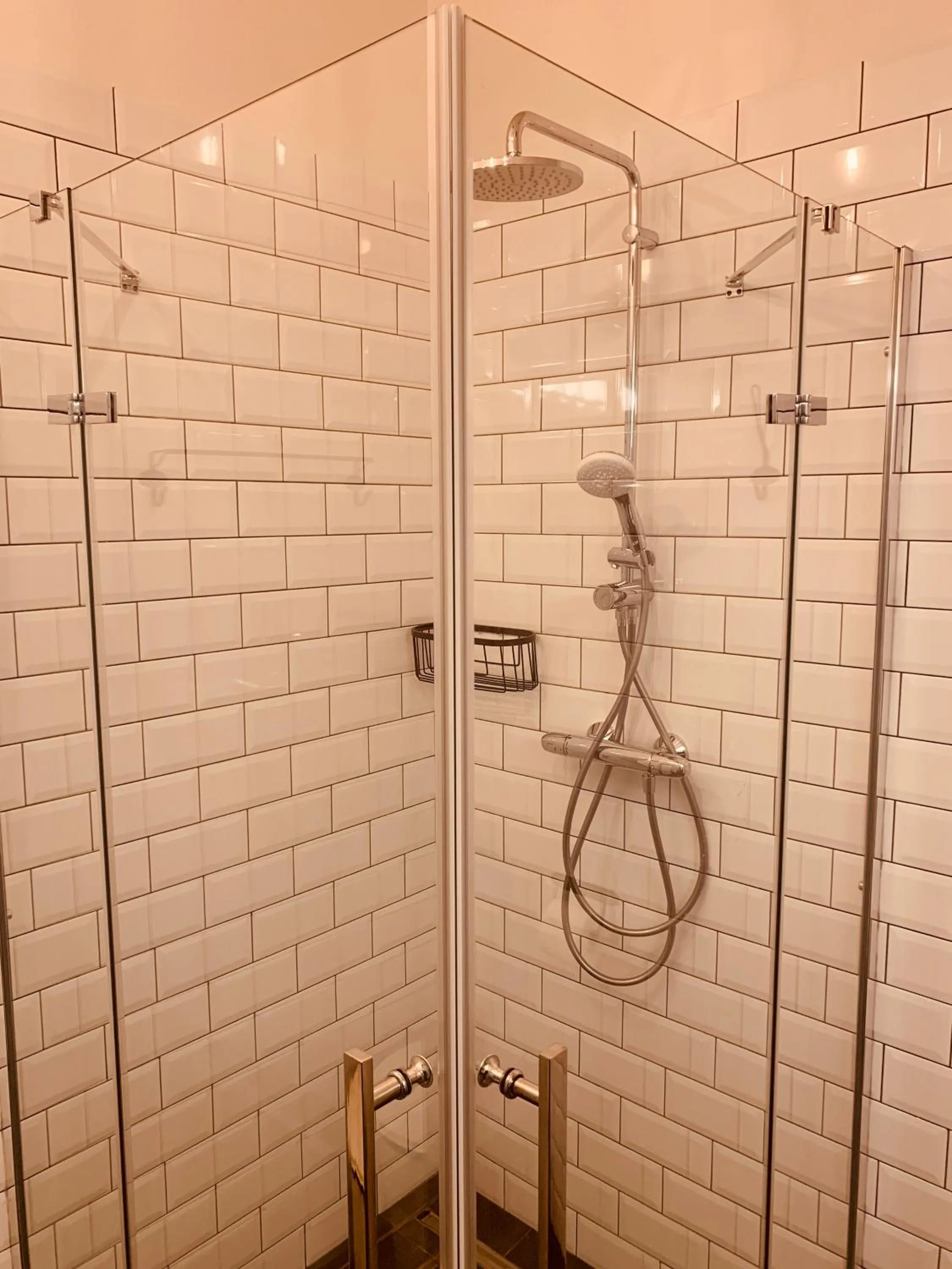 Shower in KABAN BOUTIQUE HOTEL - 5Star Central Villa in Vatra Dornei