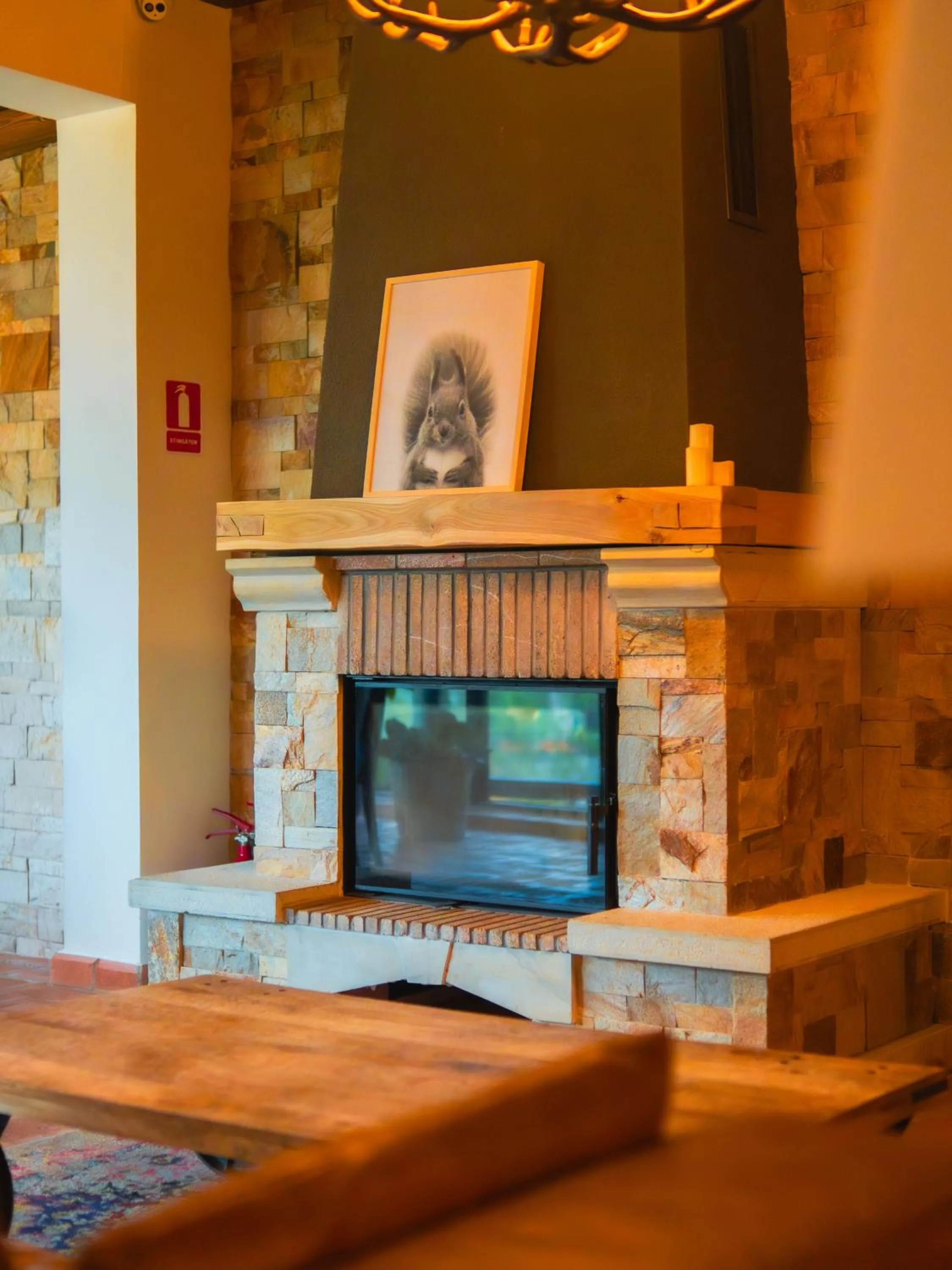 fireplace in KABAN BOUTIQUE HOTEL - 5Star Central Villa in Vatra Dornei