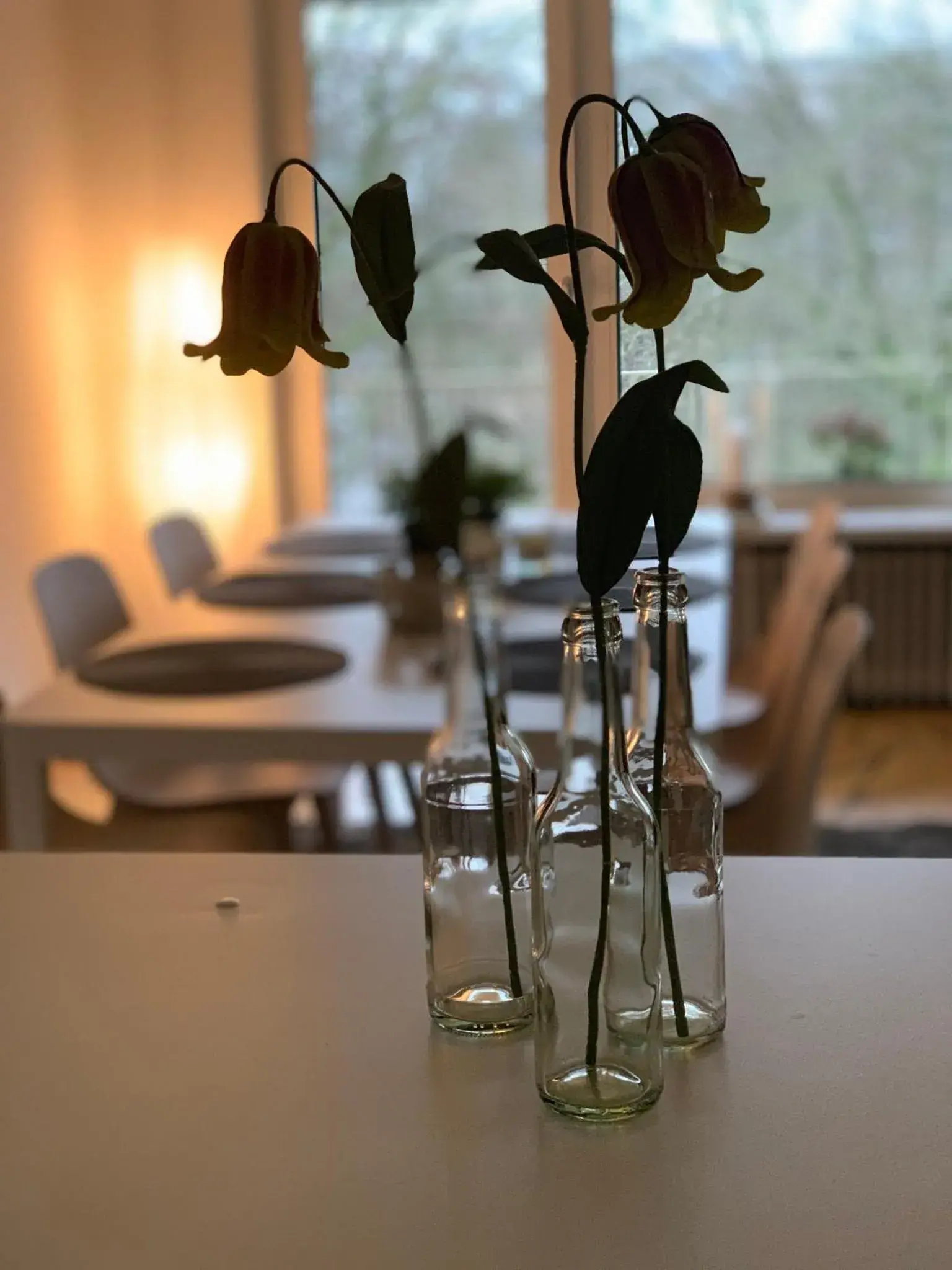 Ferienwohnung Parkblick Ferienwohnung Parkblick