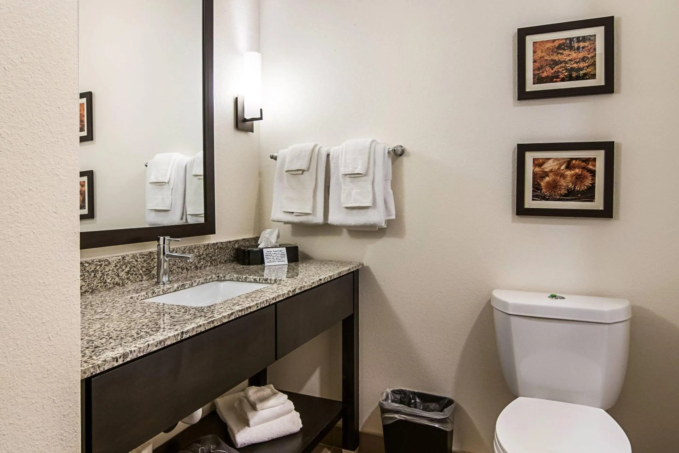Bathroom in Comfort Suites Wooster near University Campus