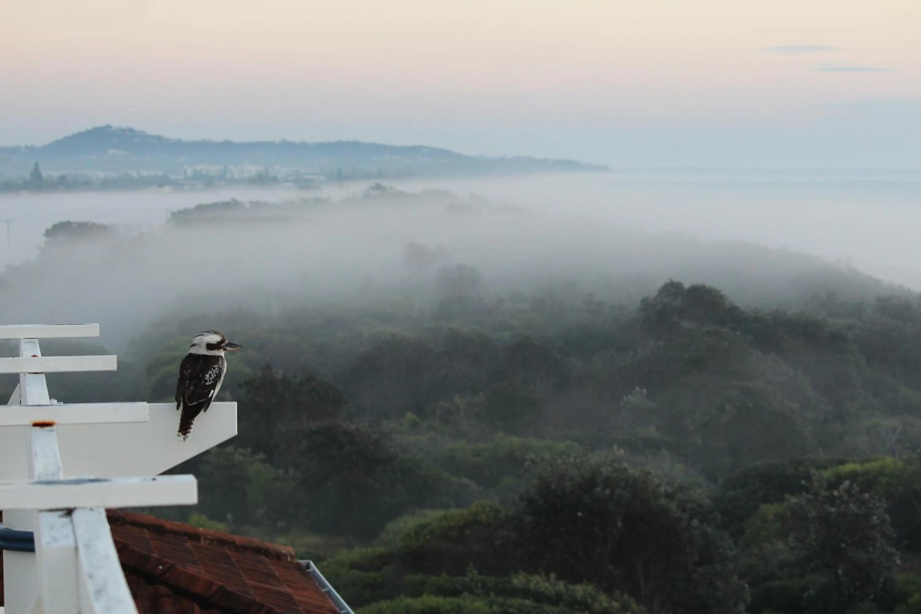 Balcony/Terrace in Salerno On The Beach