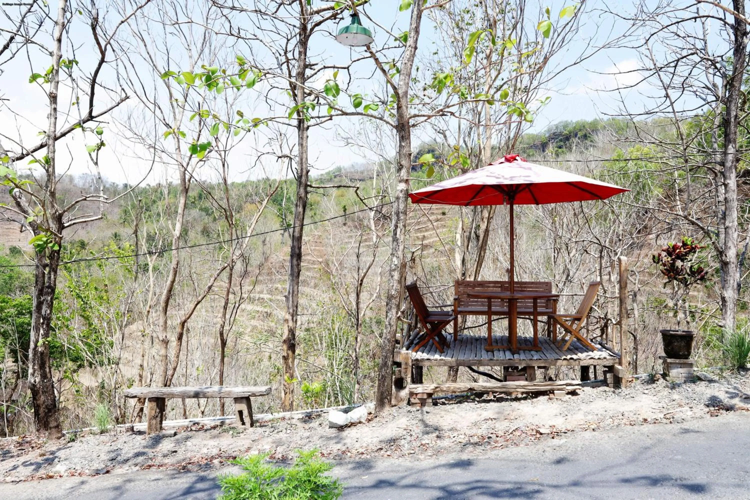 NewAlasKuliner & HomestayWatulumbung