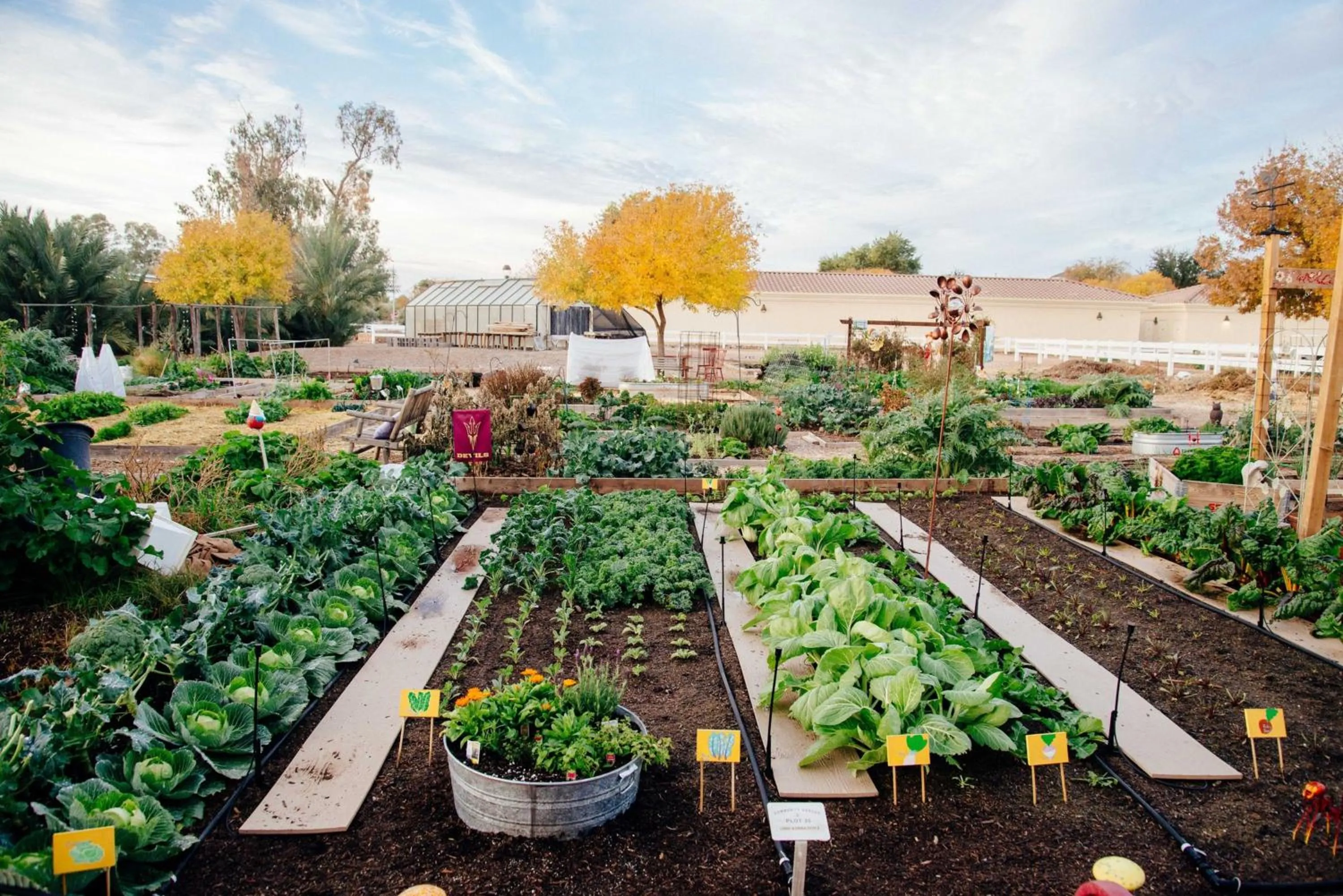 Nearby landmark in Holiday Inn Express & Suites - Gilbert - East Mesa by IHG