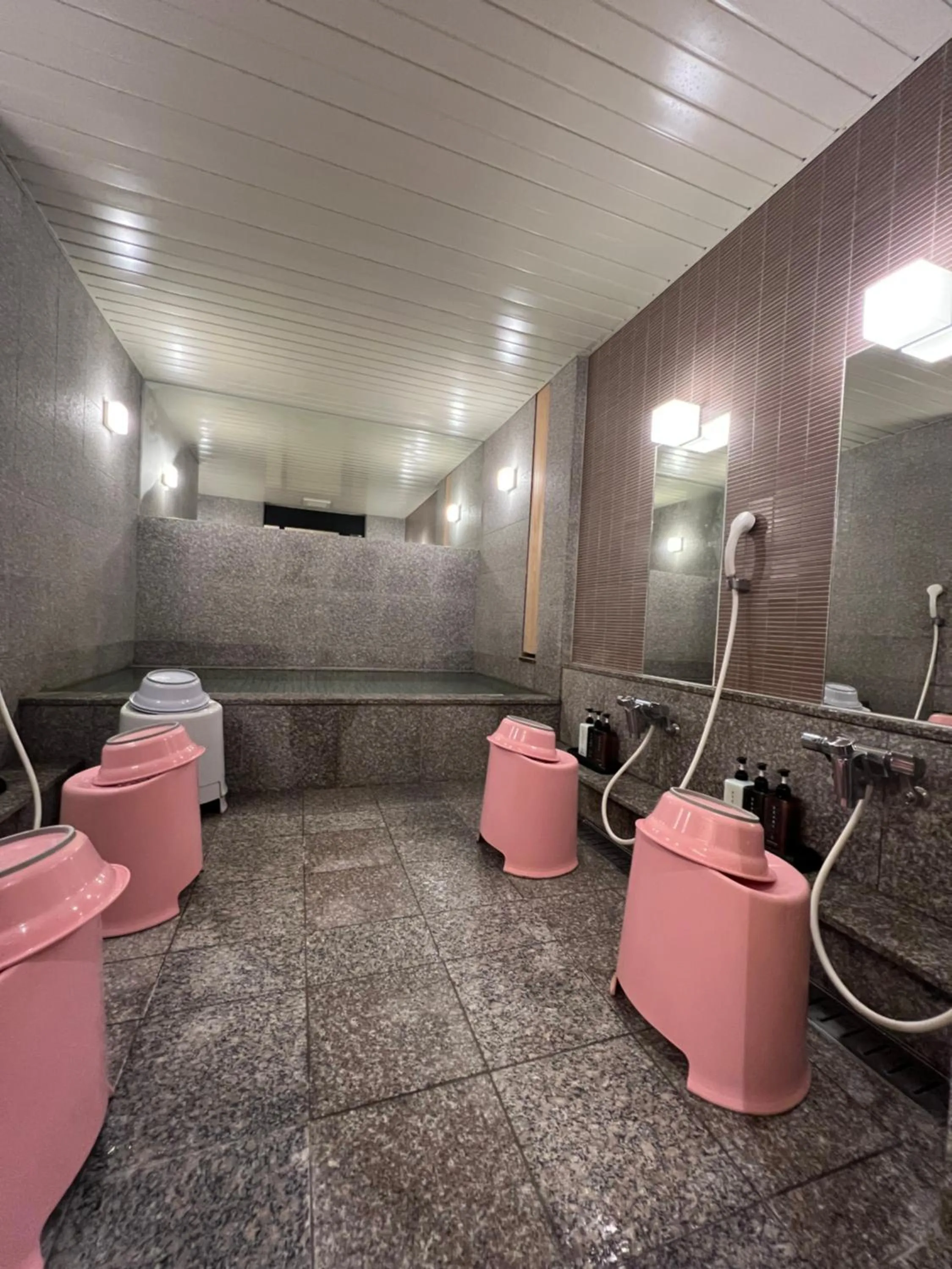 Public Bath in Towa Ryokan