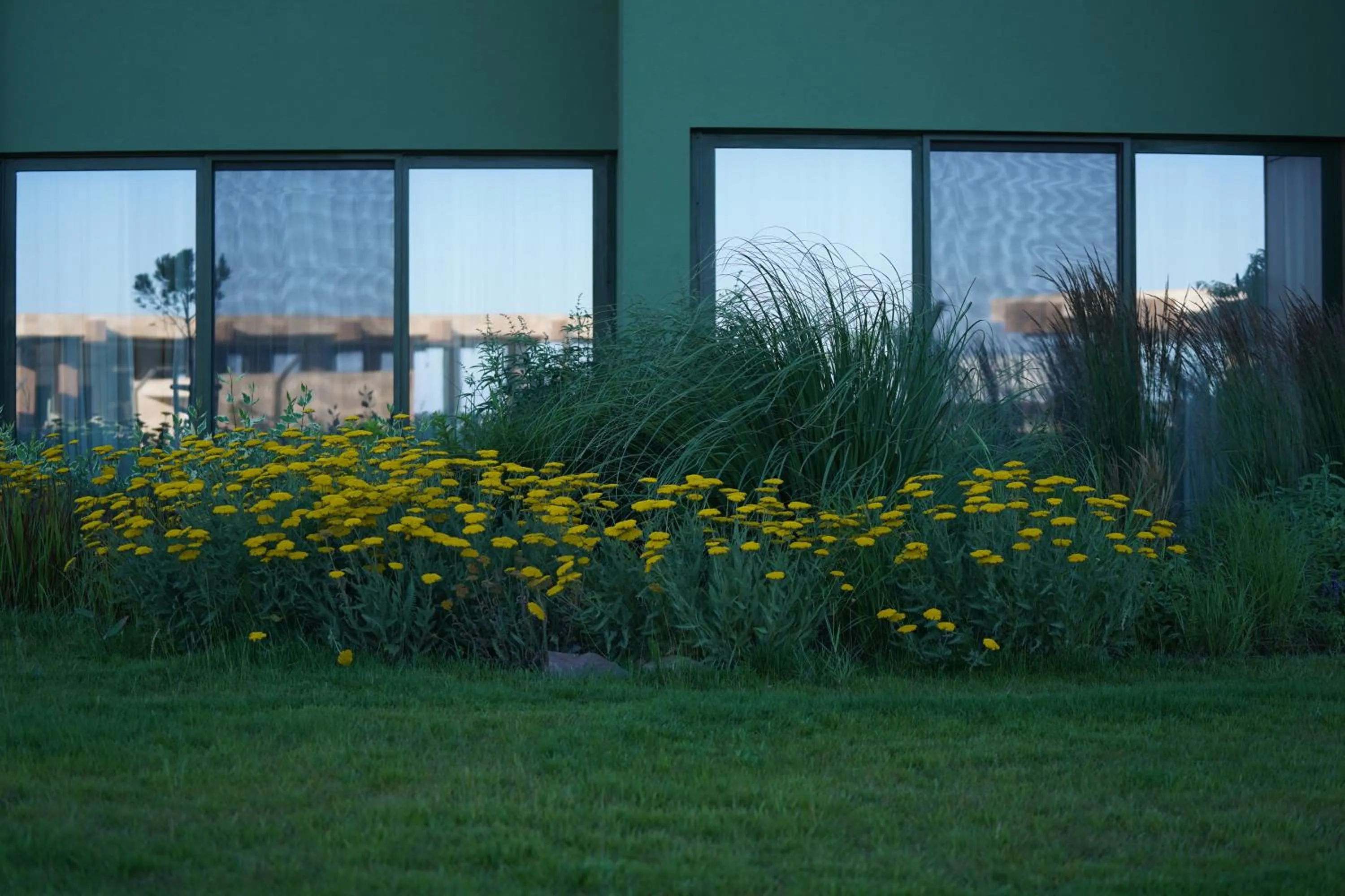 Garden view in HVD Reina del Mar - Premium Spa Service & Free Parking