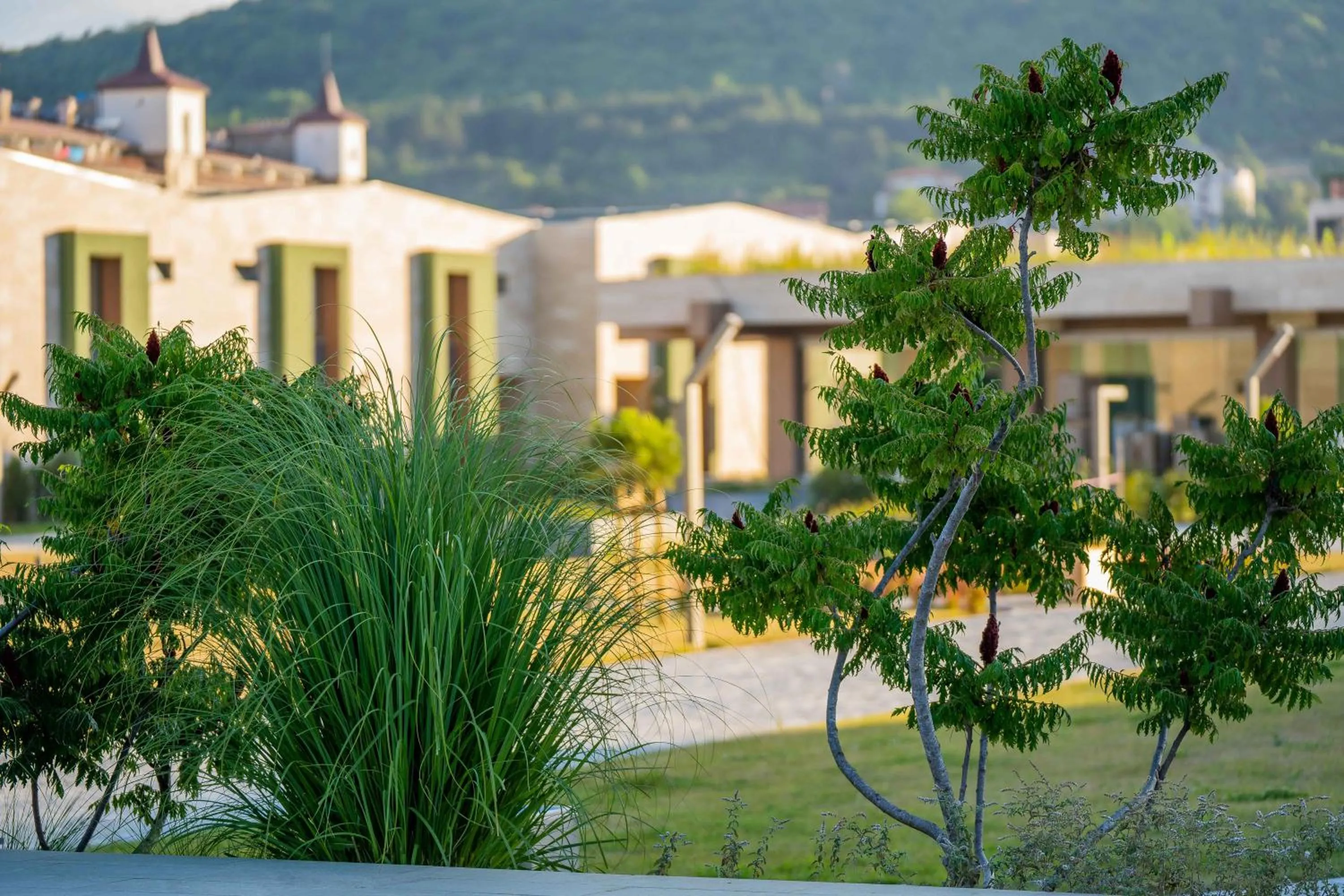Garden in HVD Reina del Mar - Premium Spa Service & Free Parking