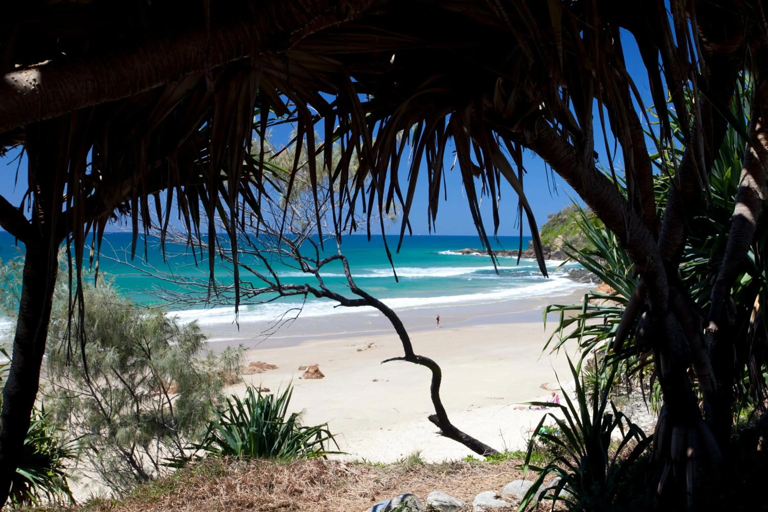 Beach in Papillon Coolum