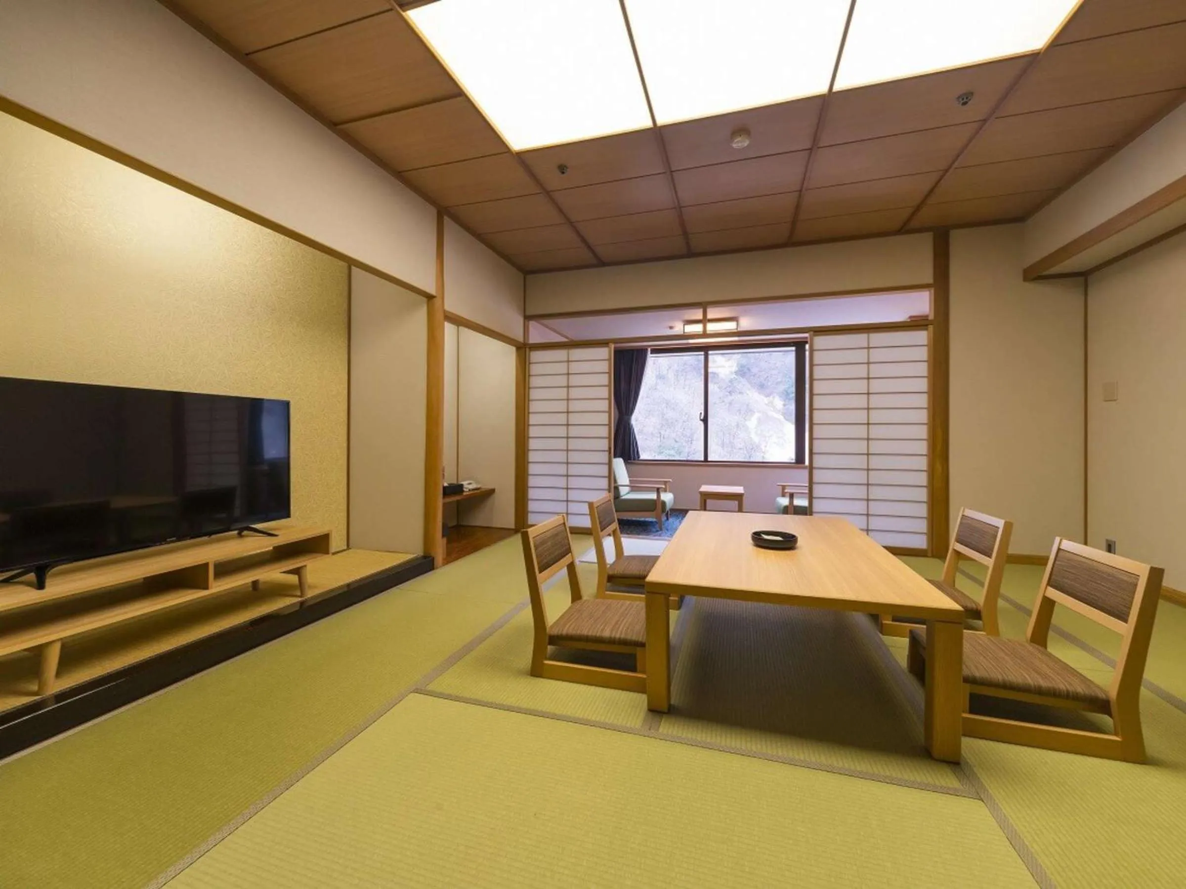 TV and multimedia in Kurobe Unazukionsen Yamanoha