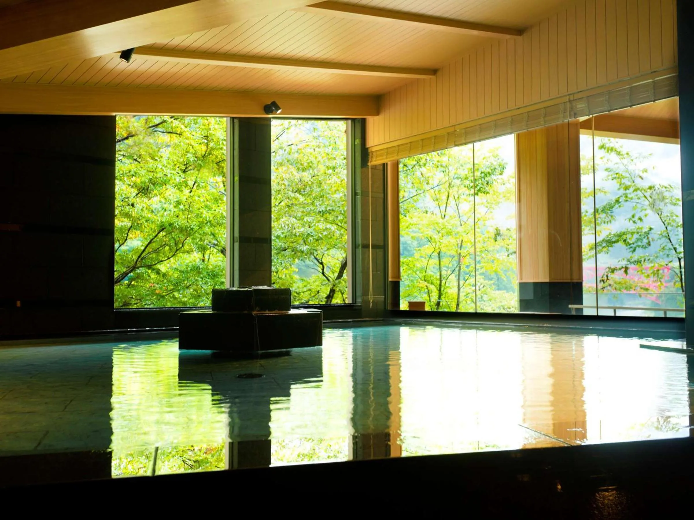 Hot Spring Bath in Kurobe Unazukionsen Yamanoha