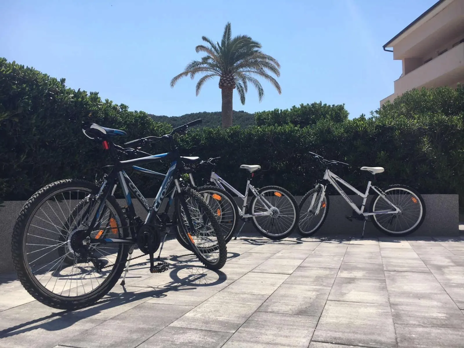 Activities in Villa Royal