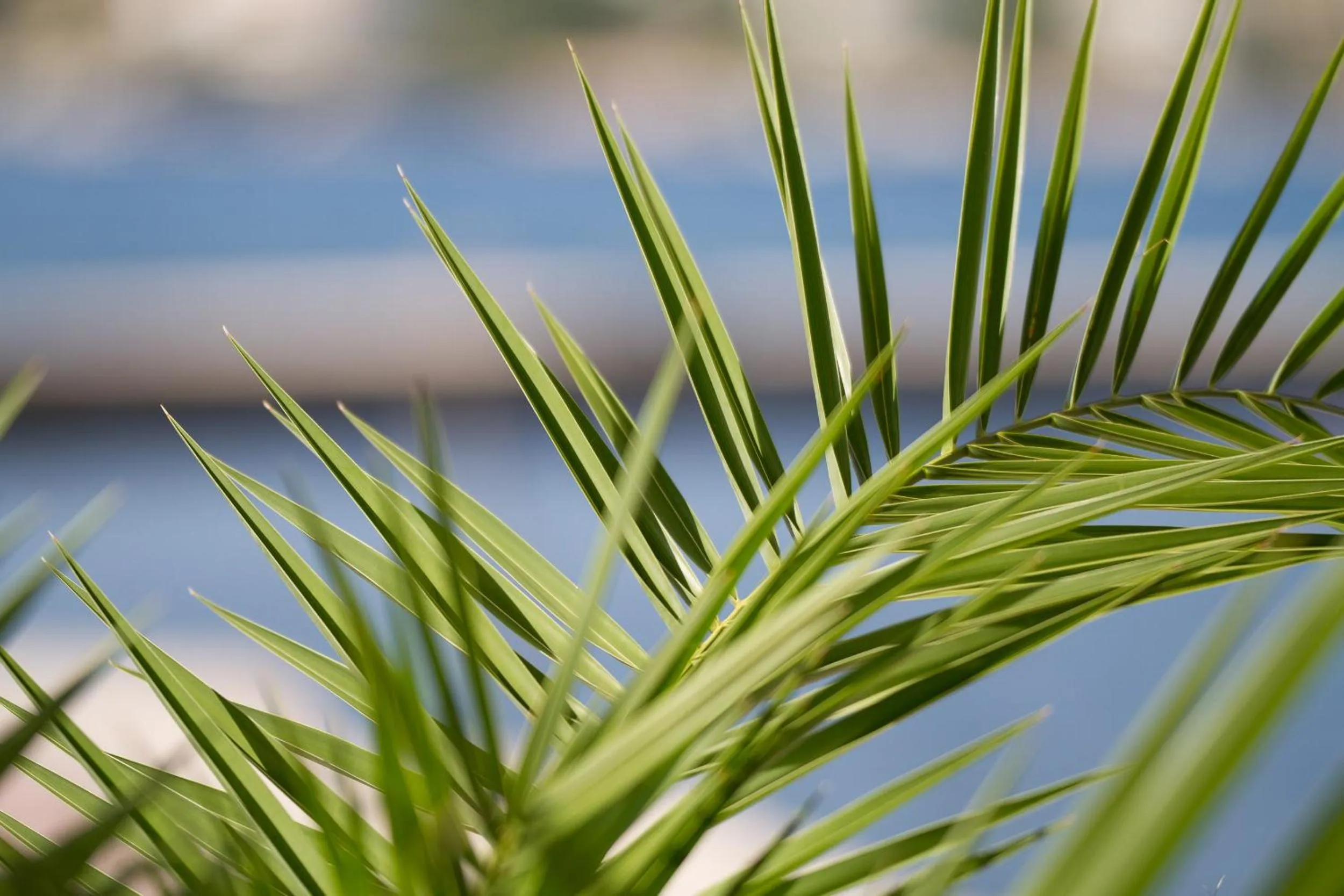 Natural landscape in Villa Royal