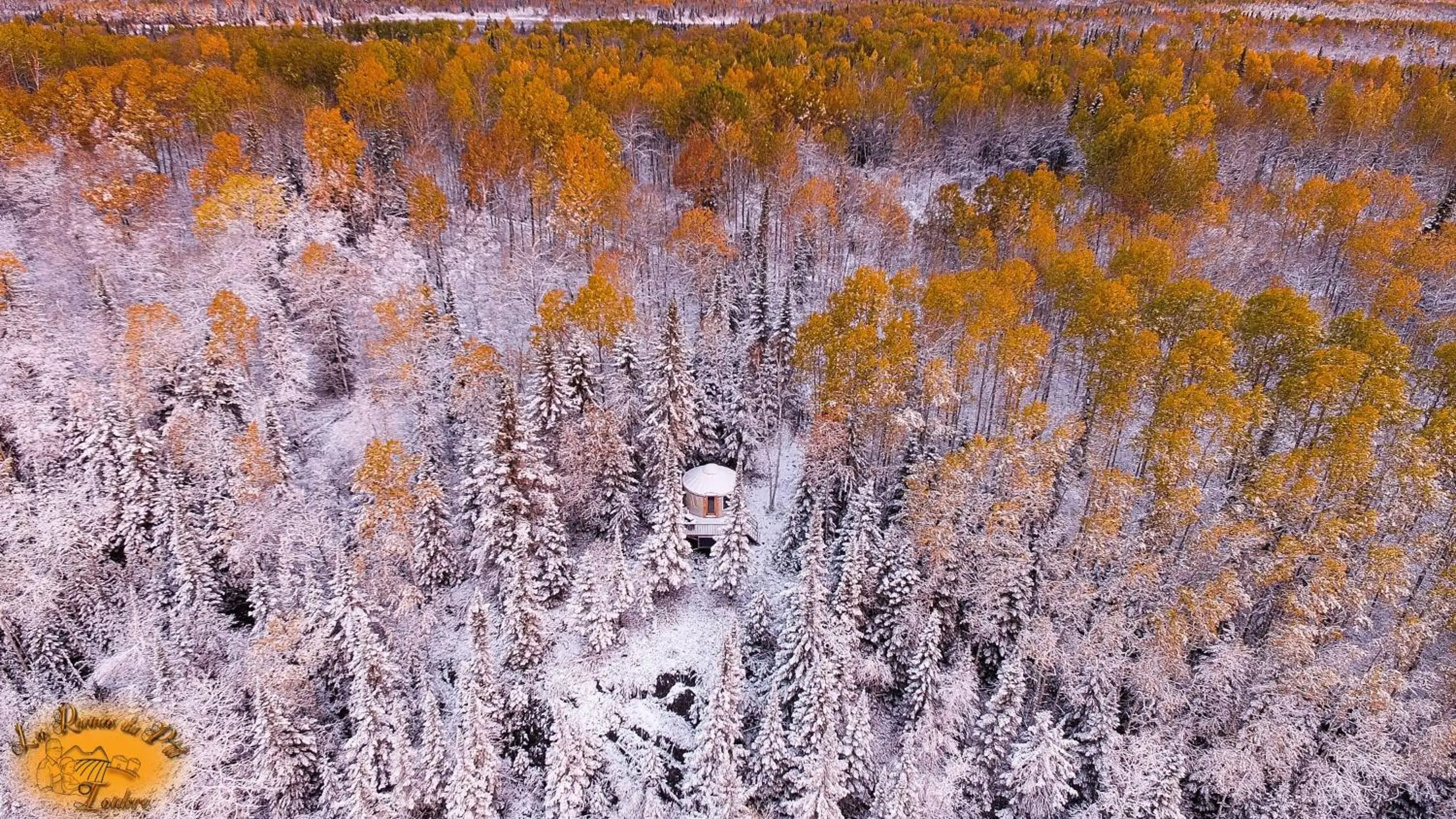 Les Racines du p'tit Isidore Les Racines du p'tit Isidore