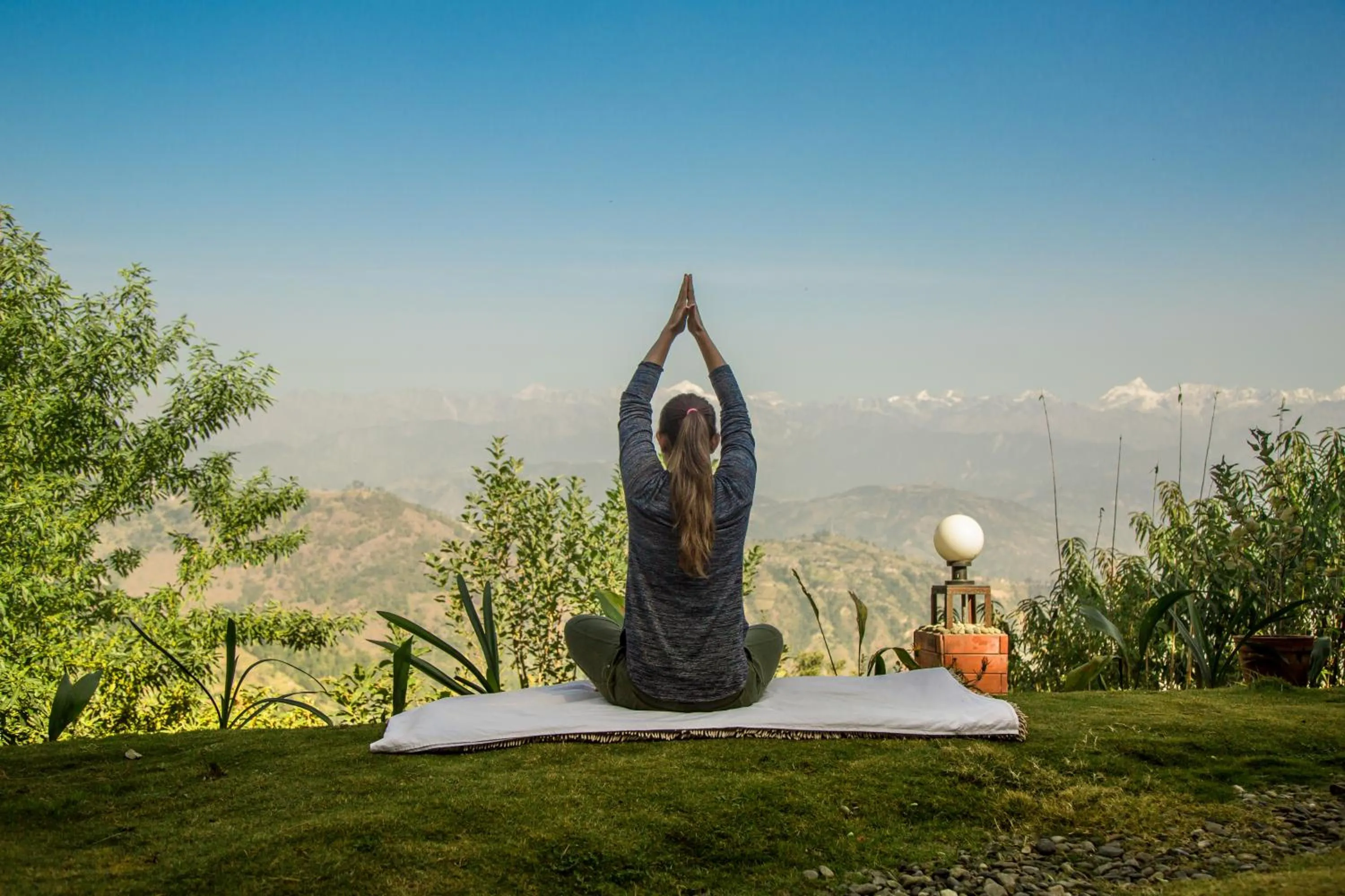 Activities in The Lapsi Tree
