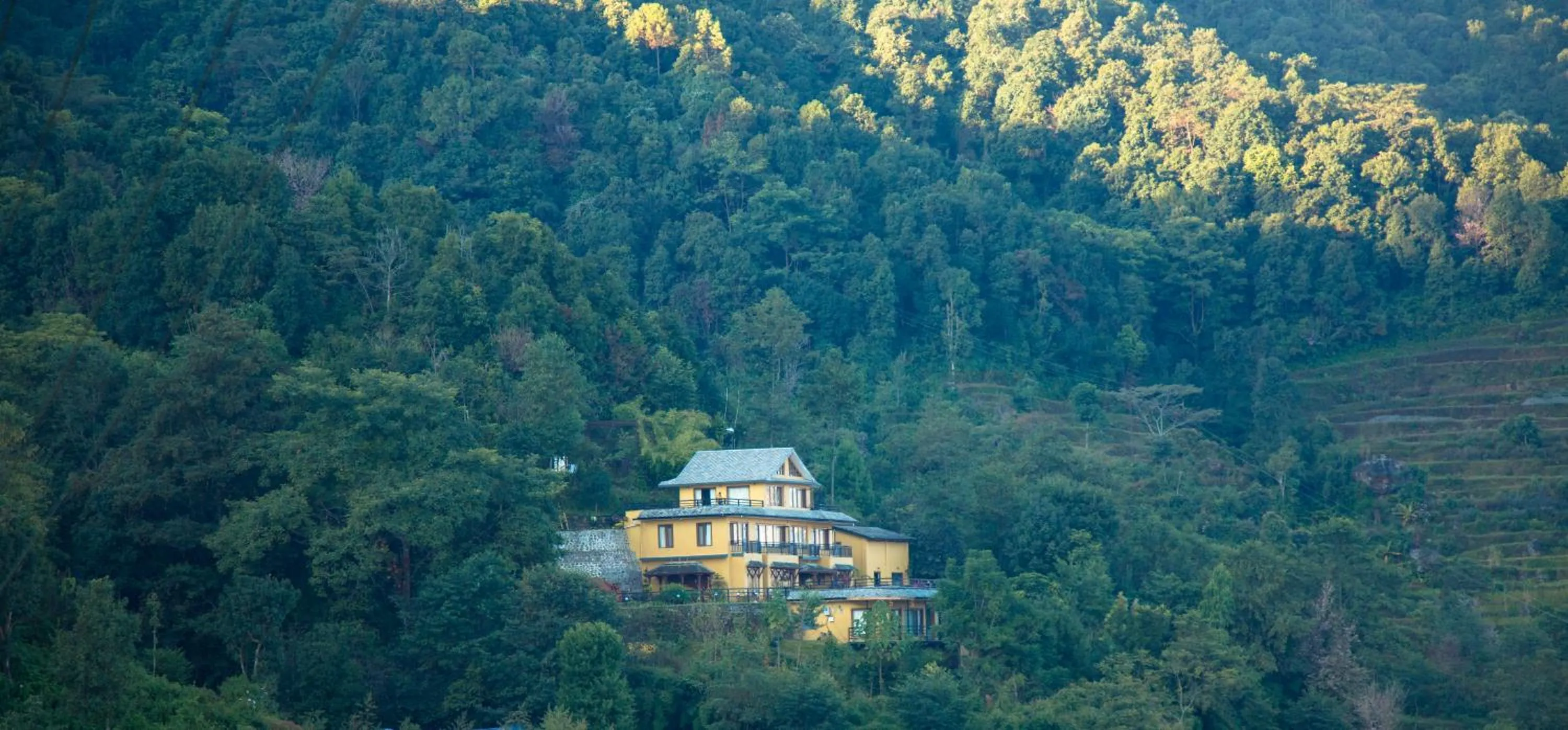 Natural landscape in The Lapsi Tree