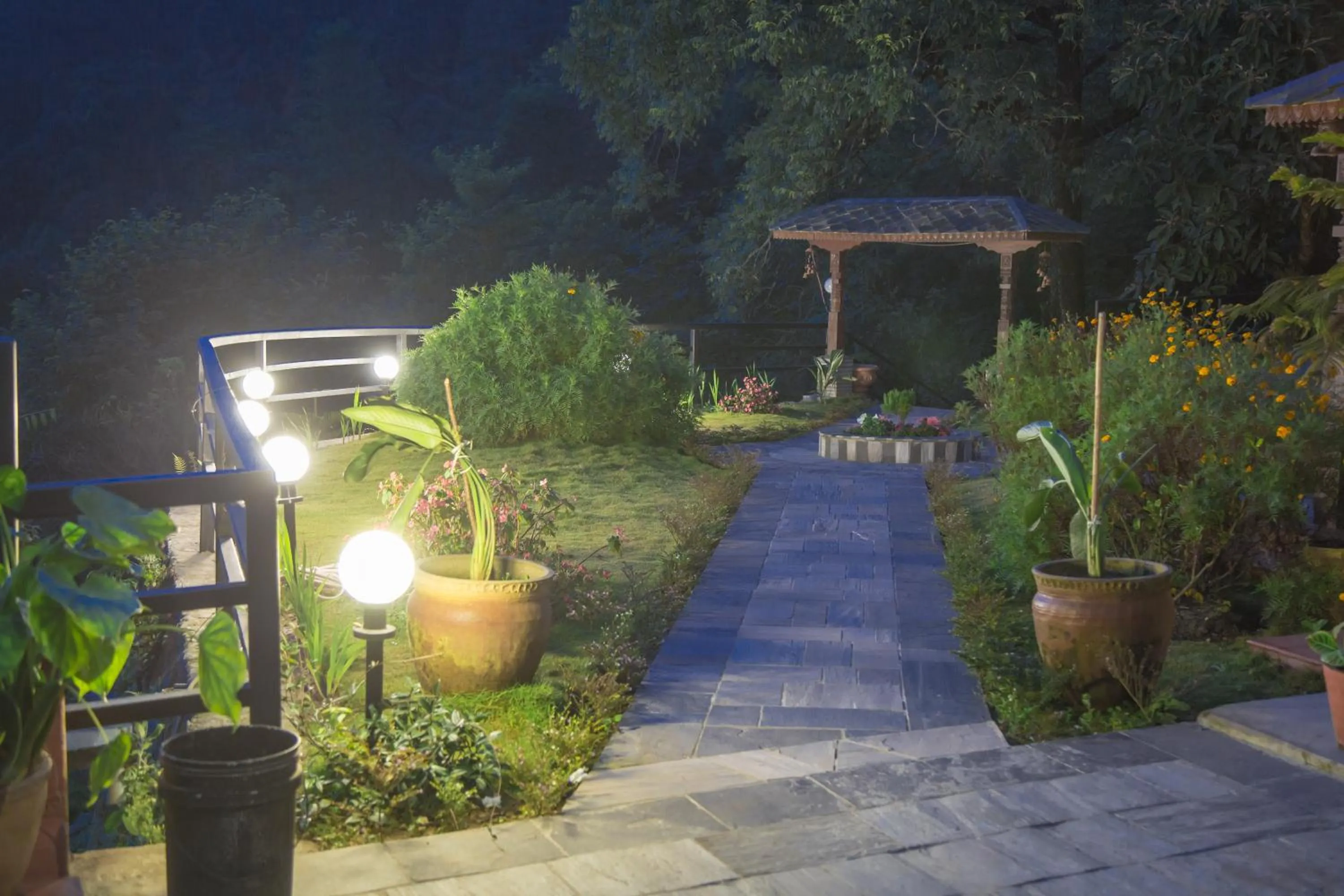 Night in The Lapsi Tree