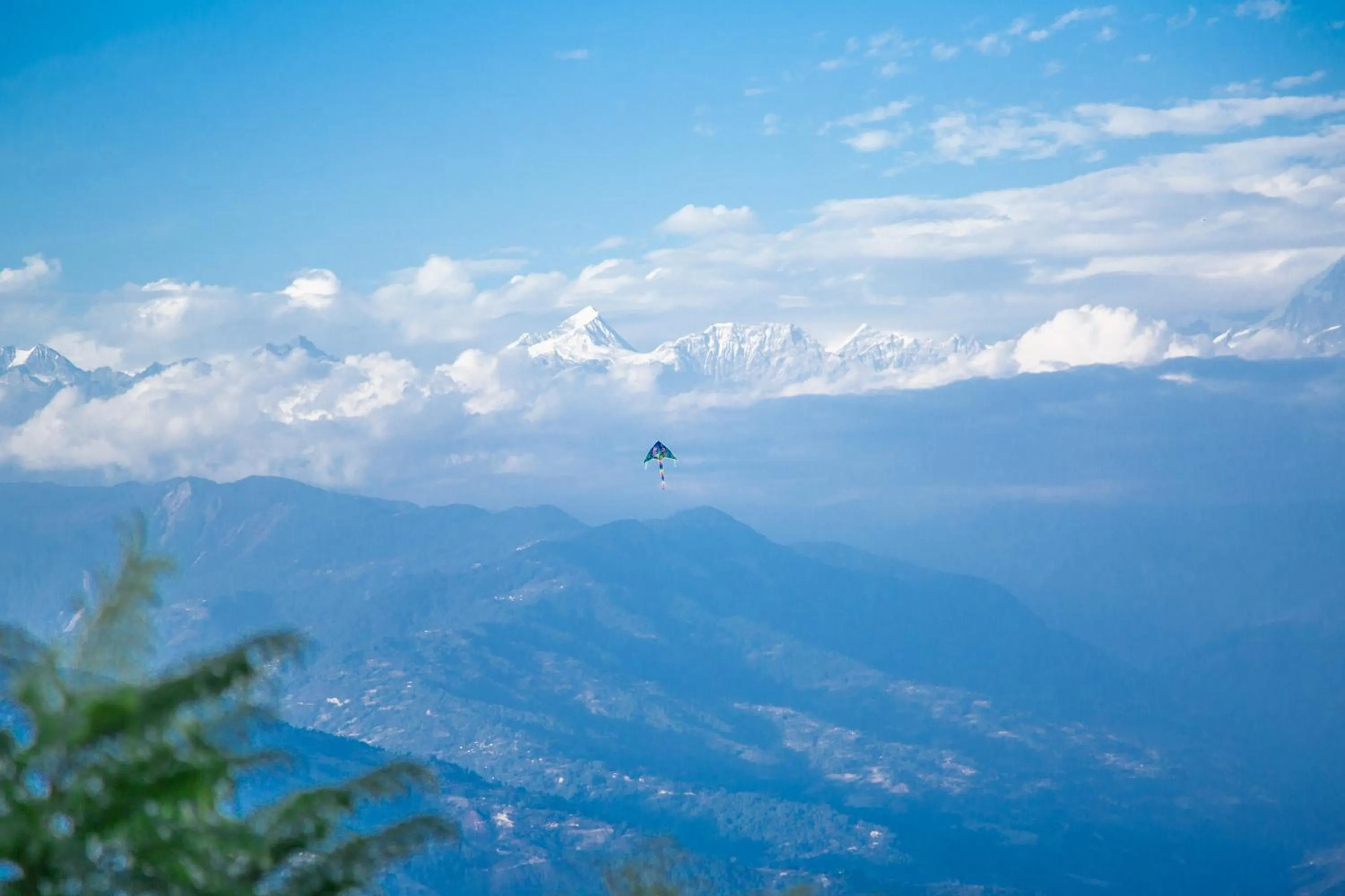 Natural landscape in The Lapsi Tree
