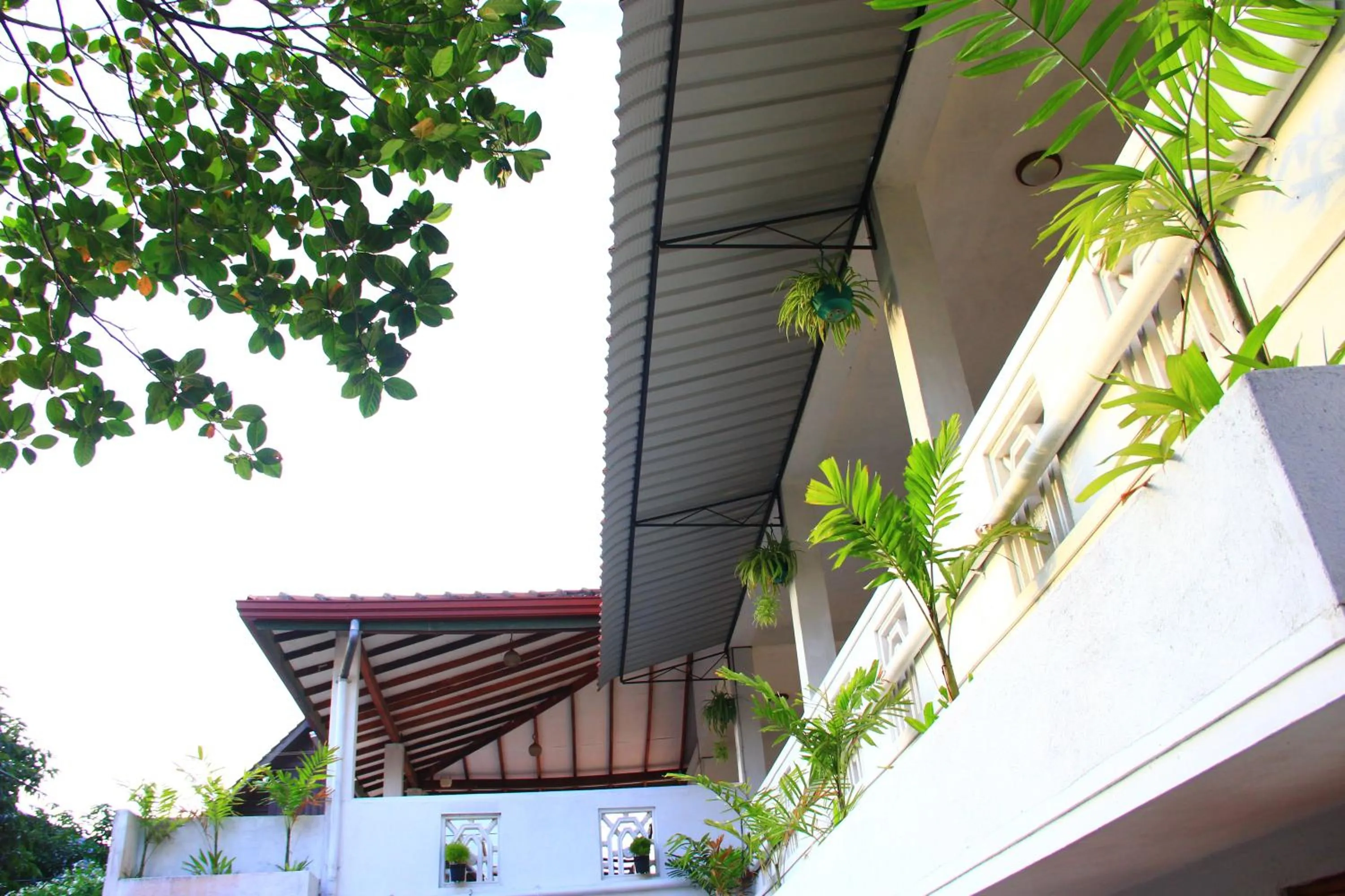 Garden in Shanith Guesthouse Negombo , beach road