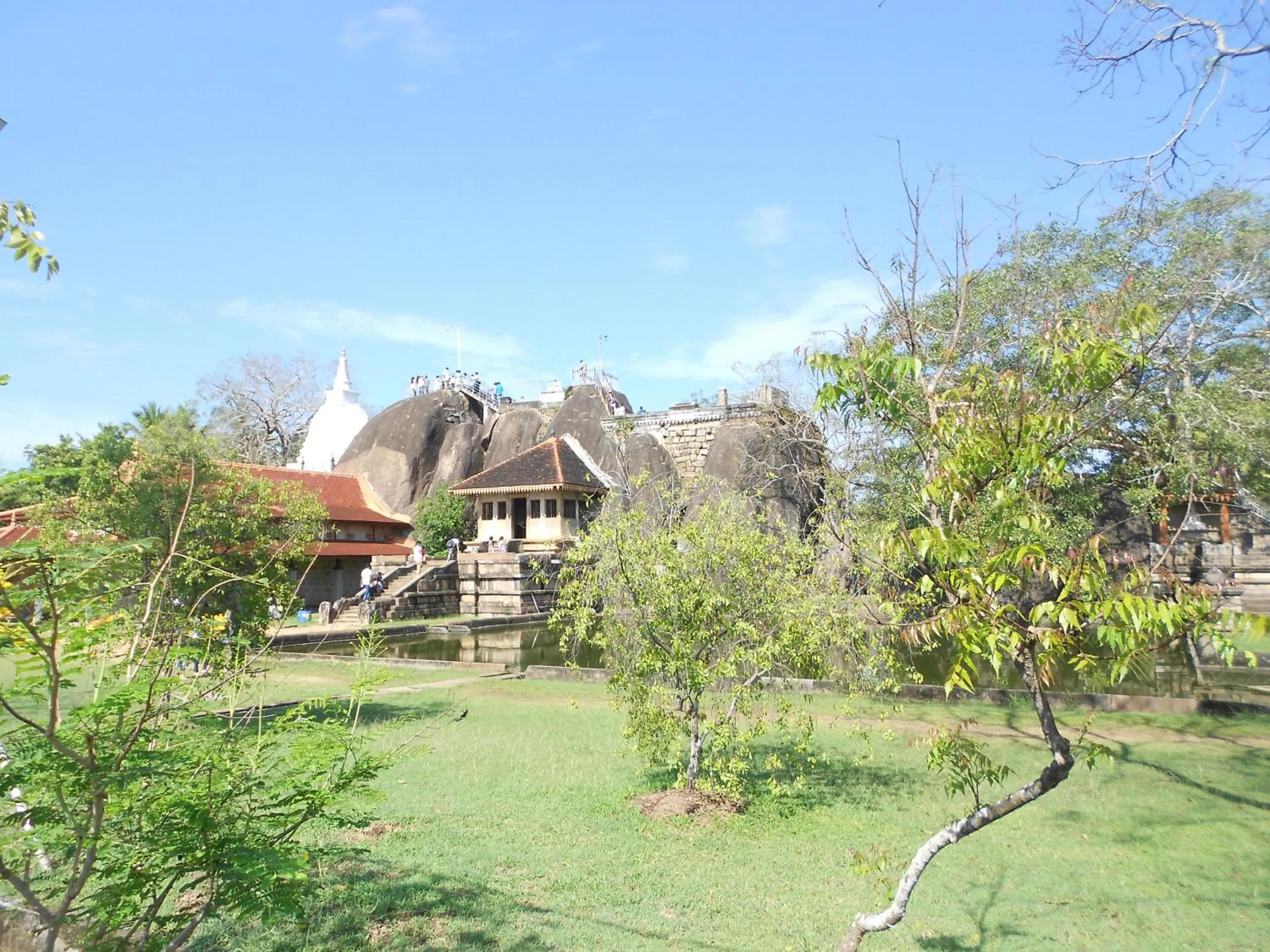 Garden view in Shanith Guesthouse Negombo , beach road