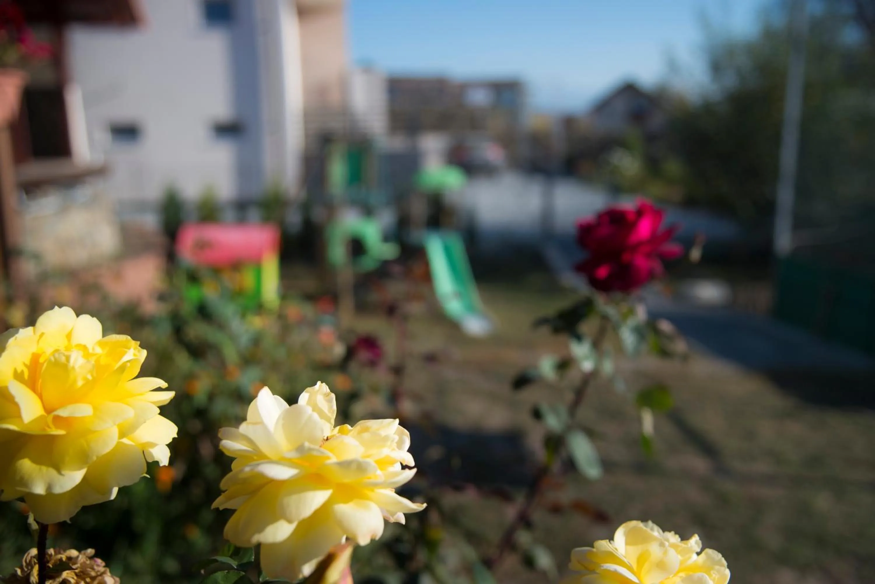 Patio in Pensiunea Carmen - Bikers Friendly Nest