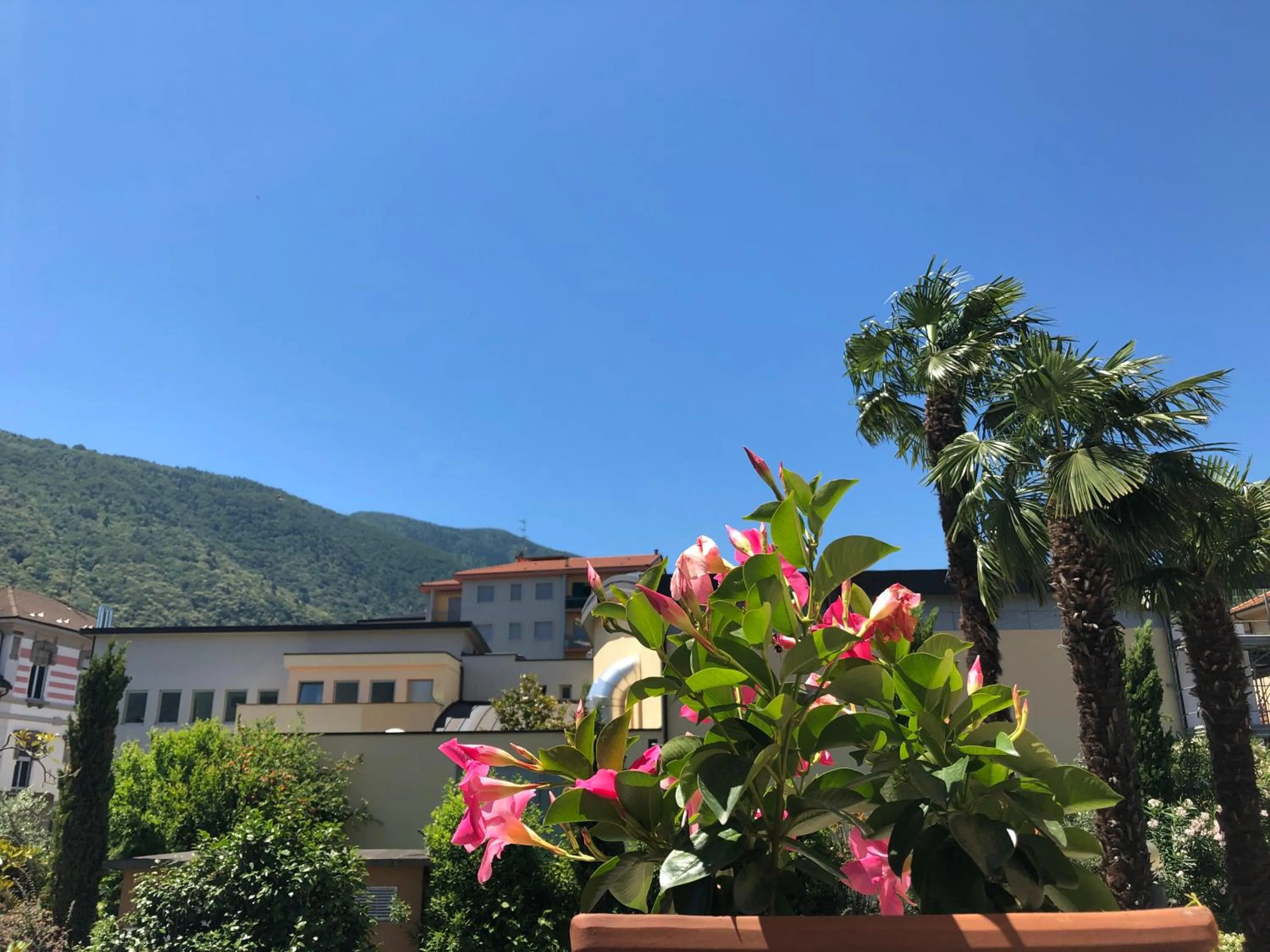 Property building in Hotel Antica Stallera