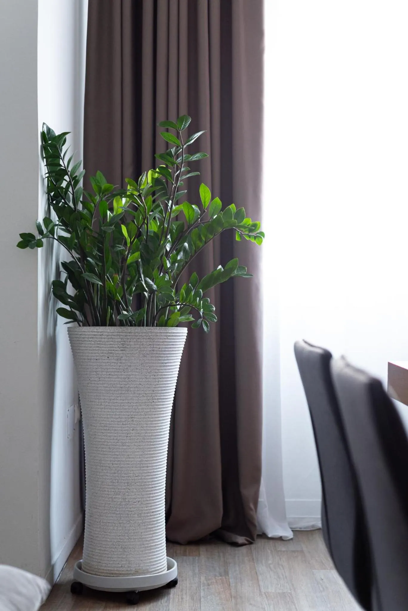 Living room in Syntagma Spotlight Residence