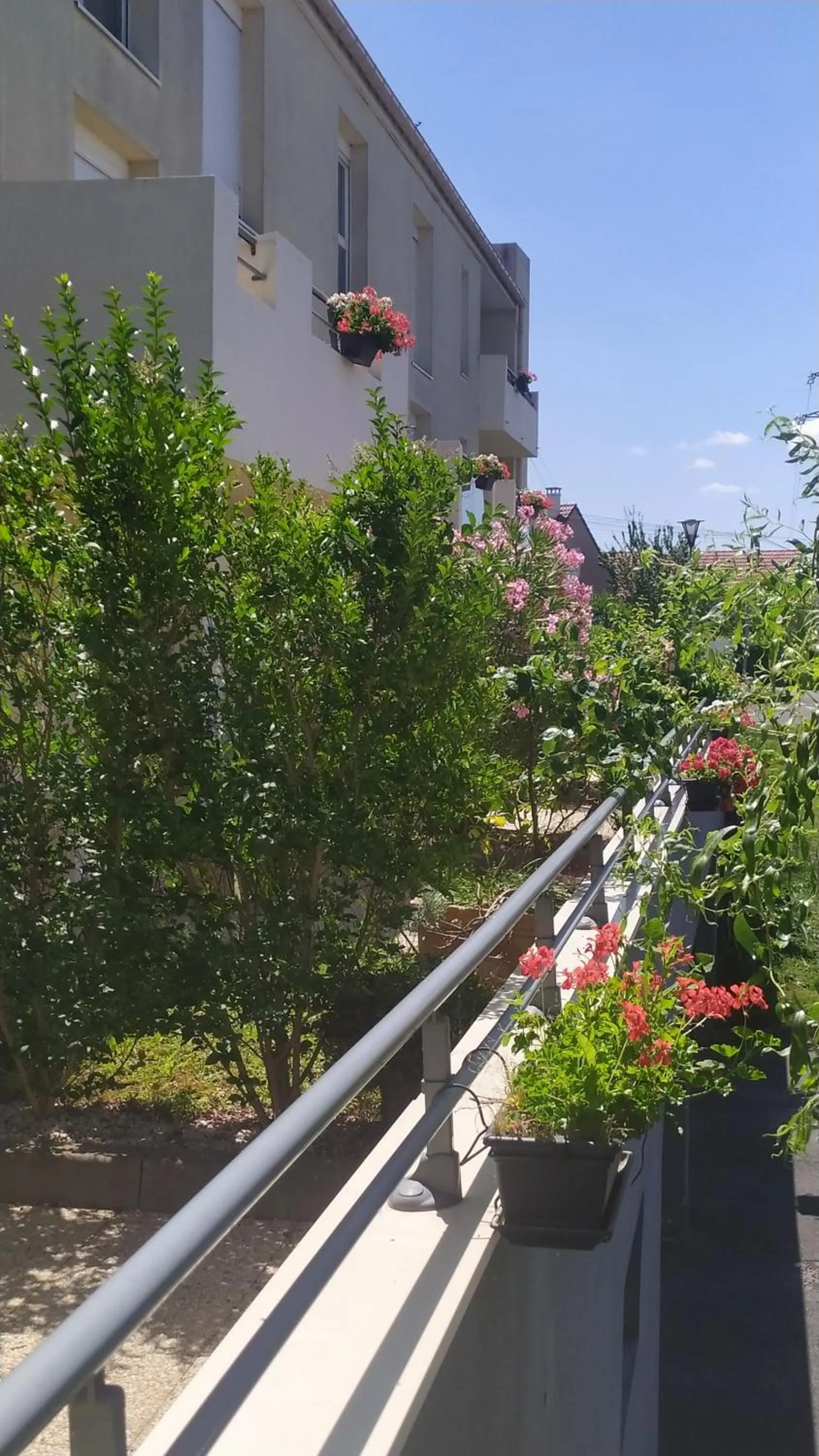 Spring in Résidence Carouge Appart Hôtel