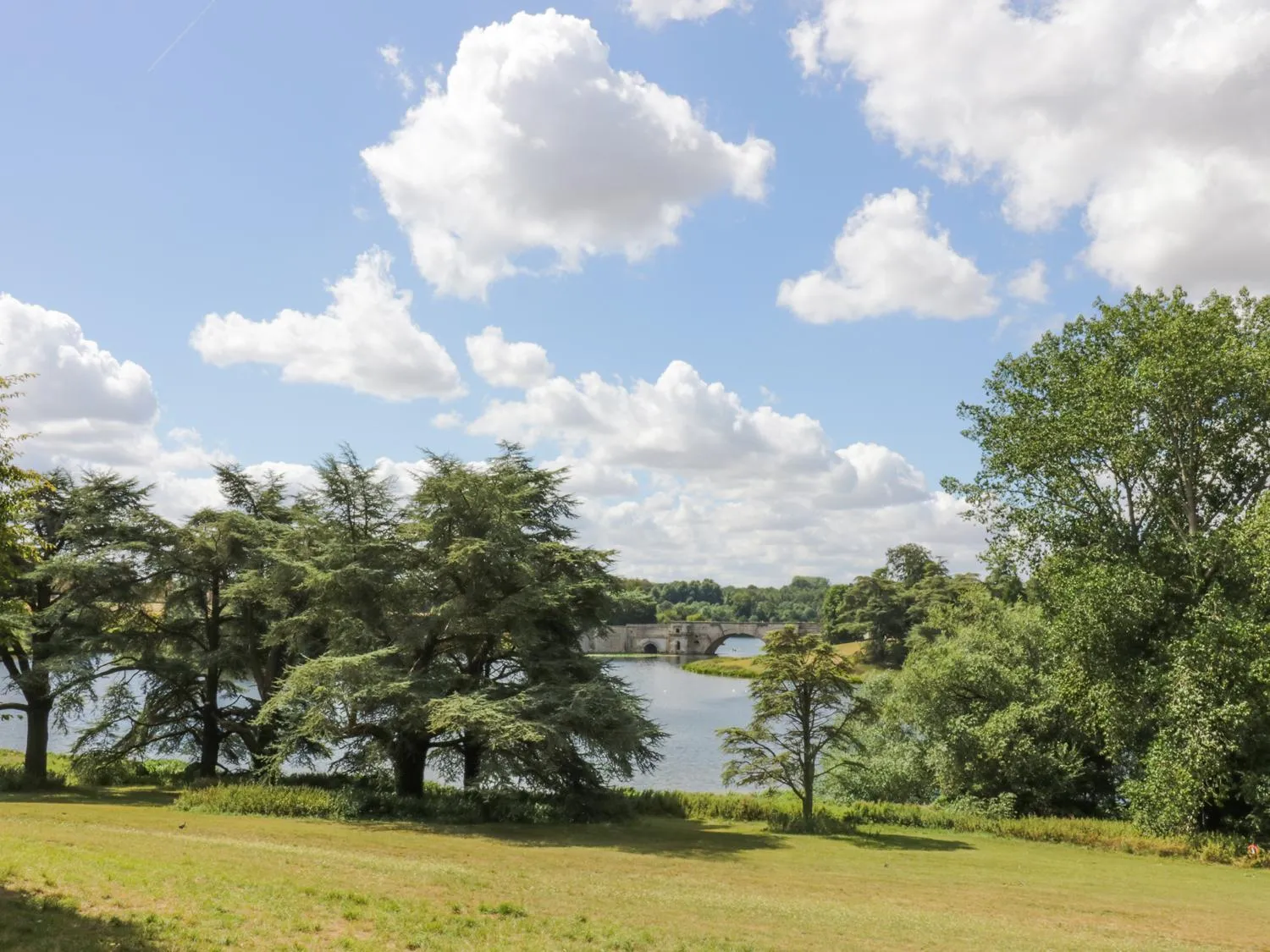 Blenheim Edge, The Causeway