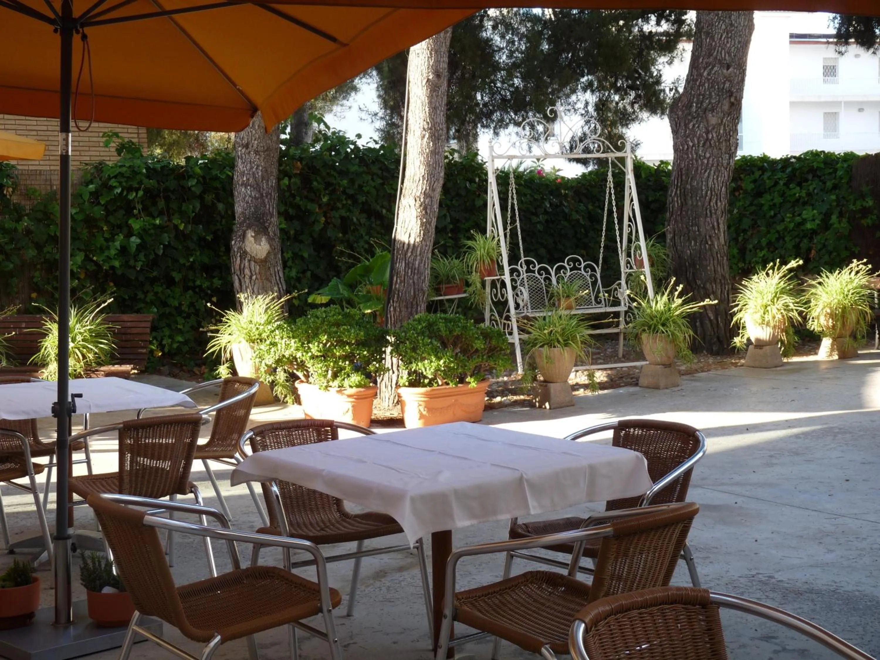 Patio in Hotel Ribes Roges