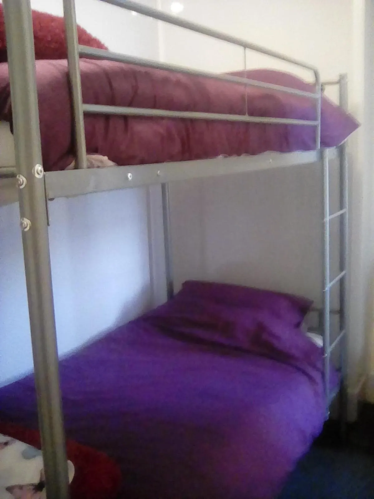 bunk bed, Bed in The braeside families and couples