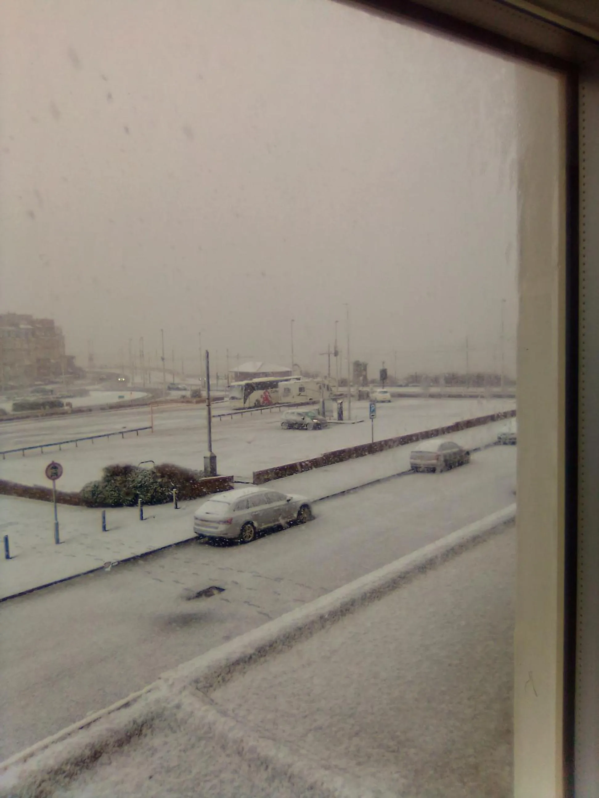 The braeside families and couples