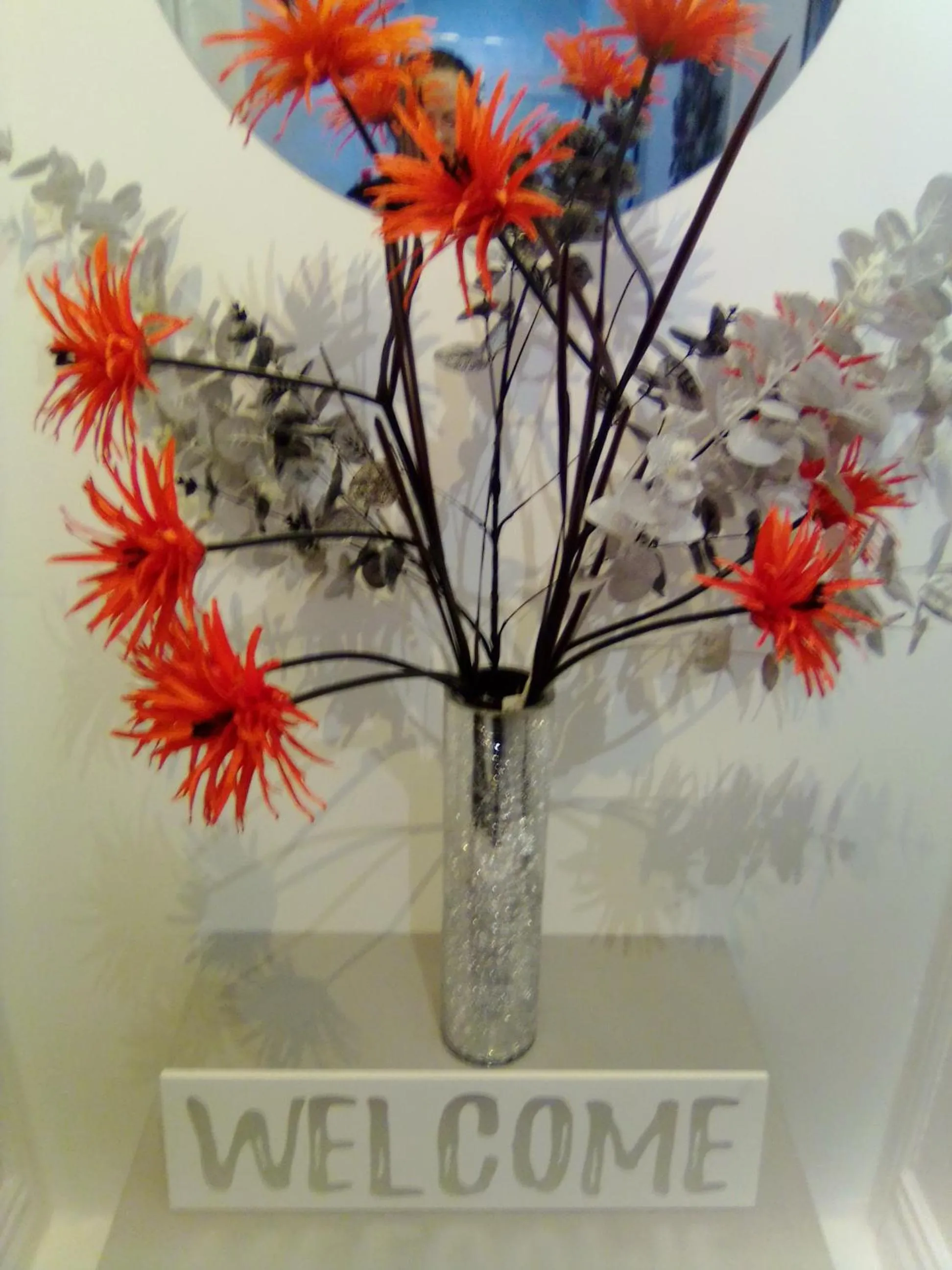 The braeside families and couples