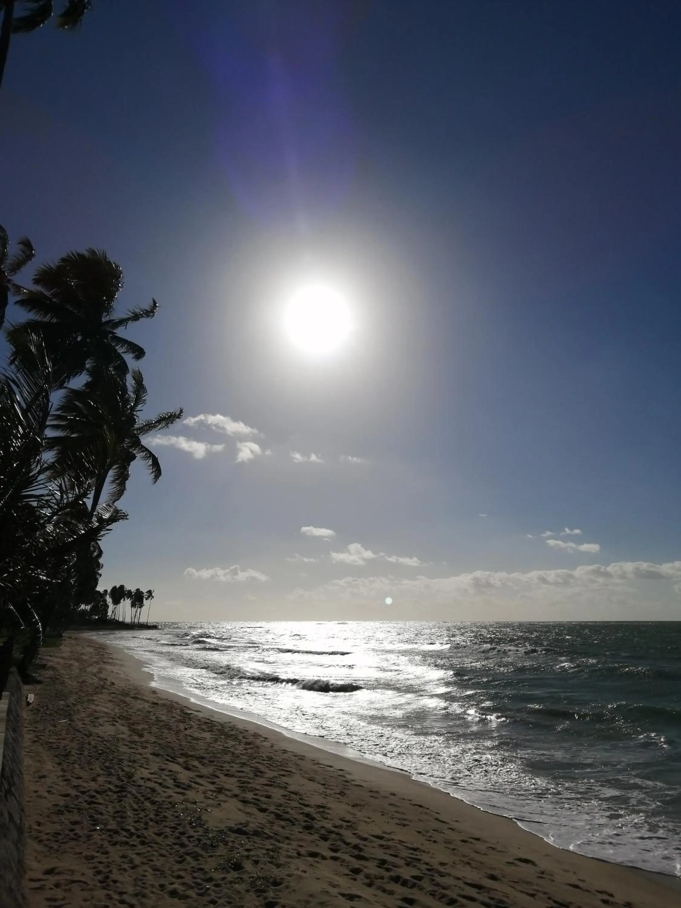 Beach in Carneiros Paradiso