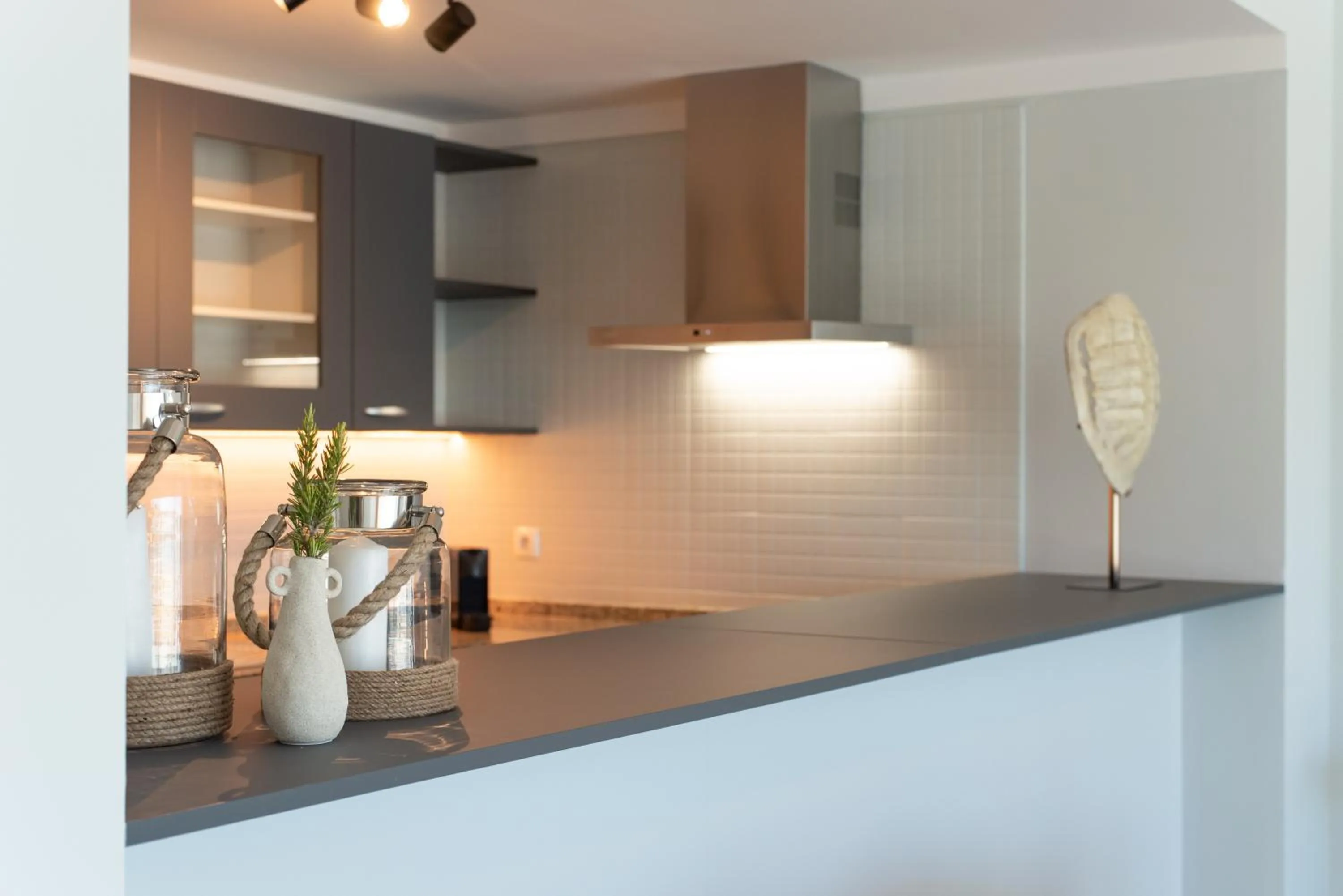 Kitchen or kitchenette in Vista Marina Apartamentos Turisticos