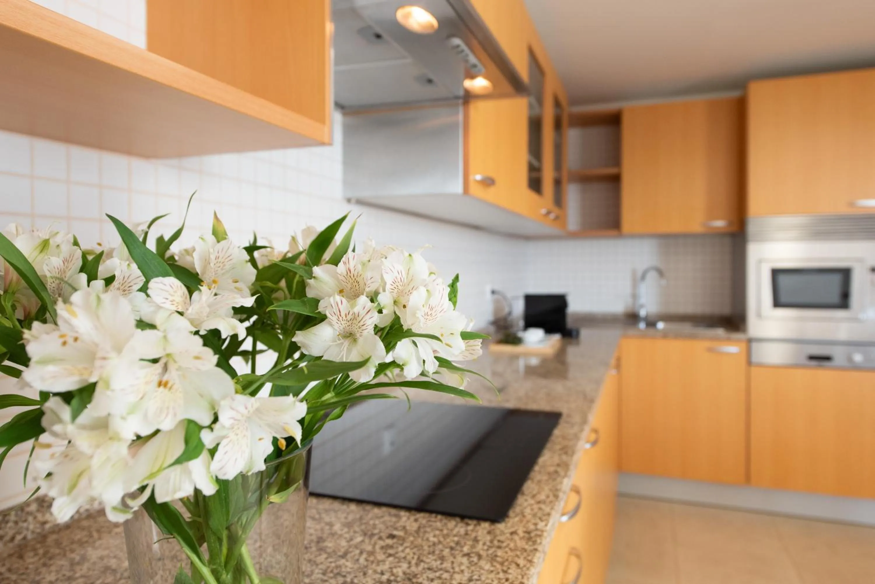 kitchen in Vista Marina Apartamentos Turisticos