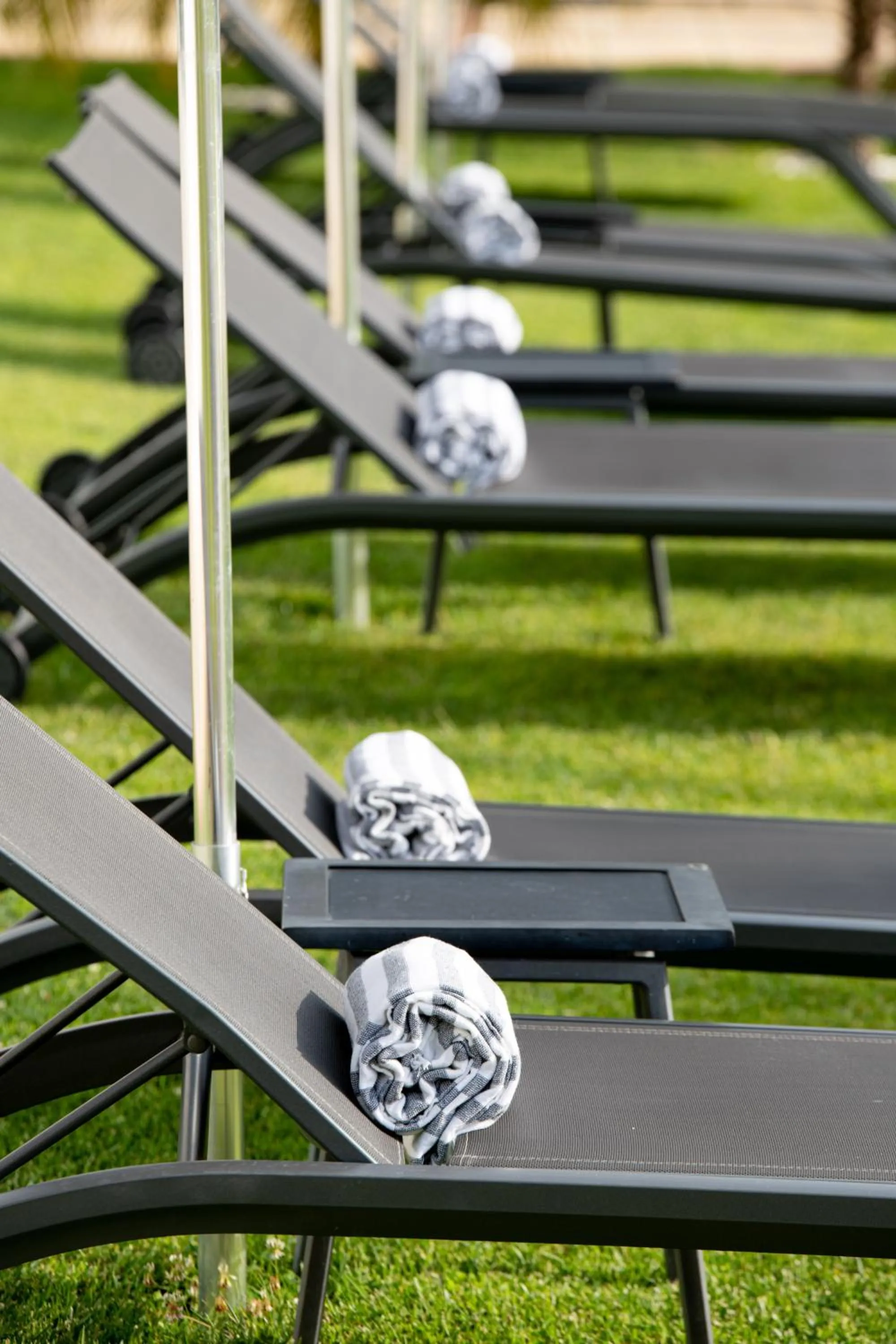 Garden in Vista Marina Apartamentos Turisticos