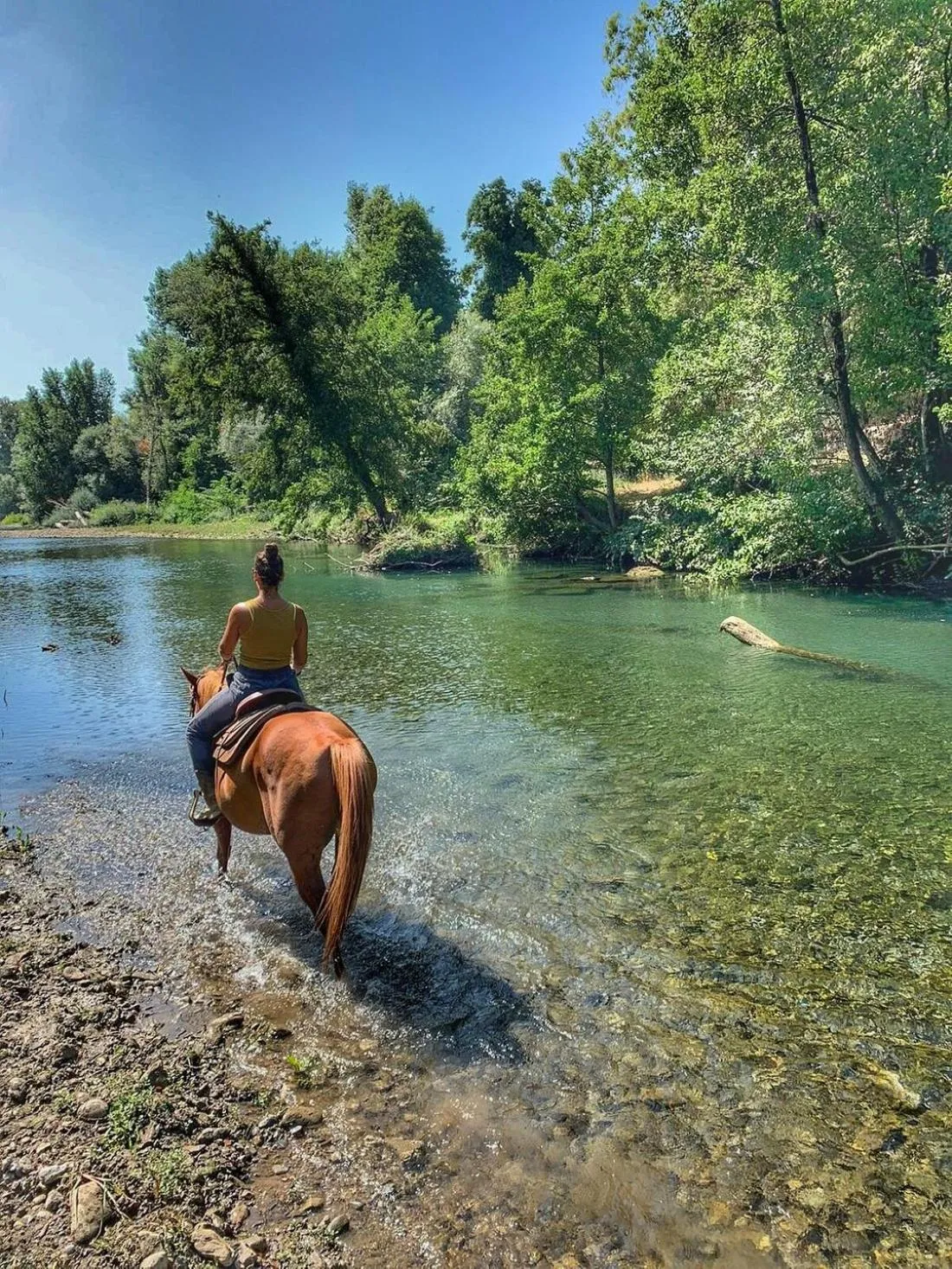 Natural landscape in Hotel Residence il villaggio Lì cylentos Policastro Scario a 100 mt dal mare