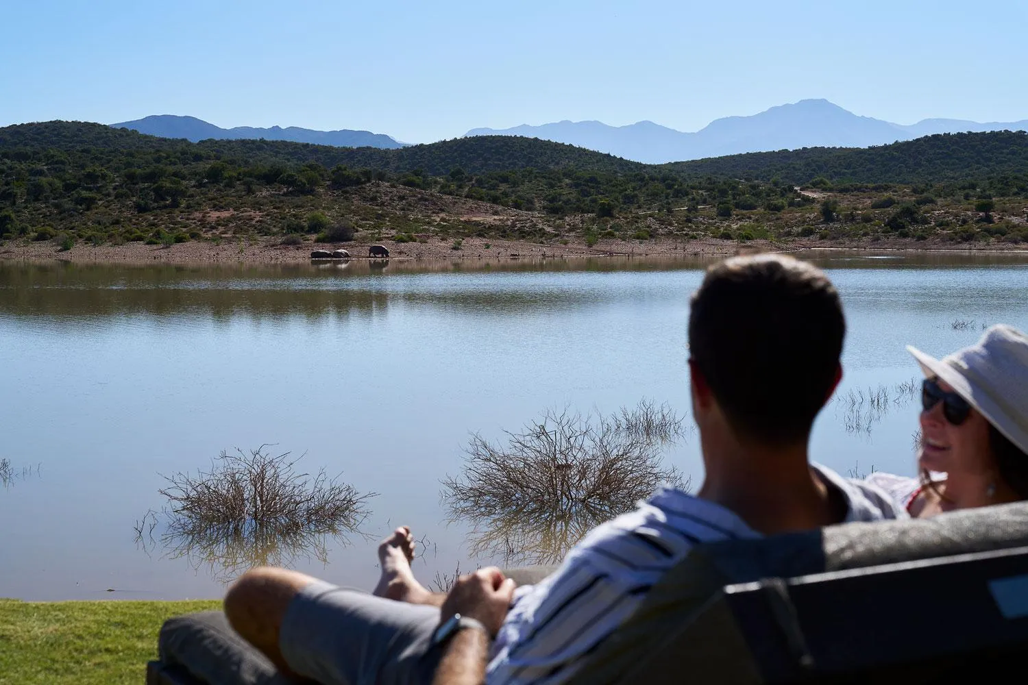 Pool view in Buffelsdrift Game Lodge