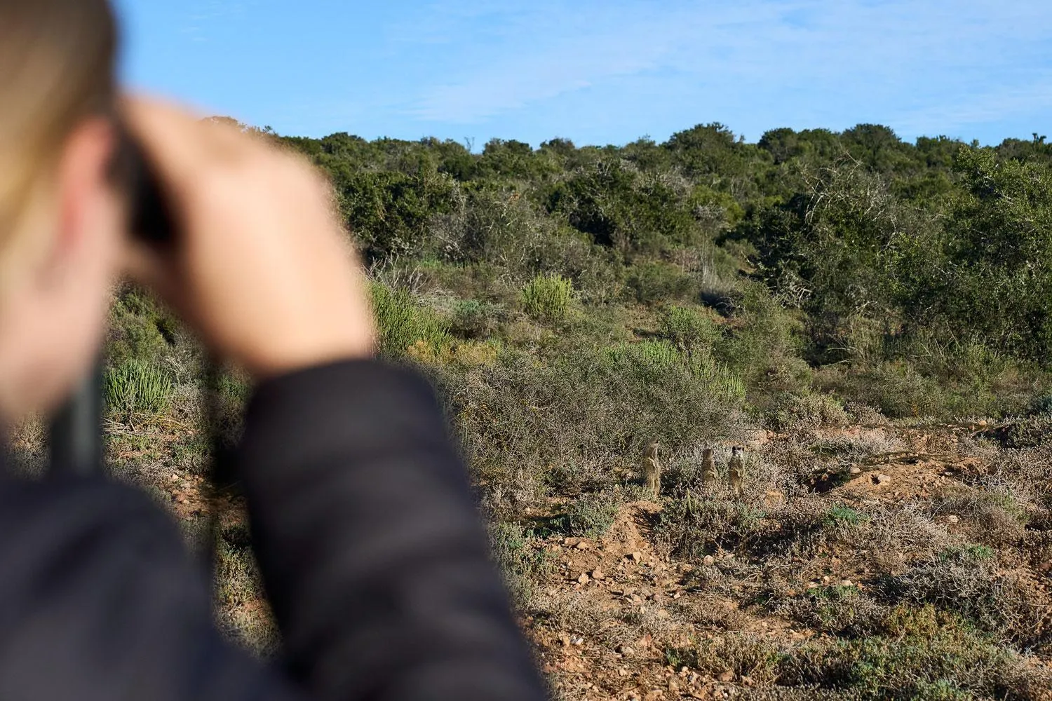 Activities in Buffelsdrift Game Lodge