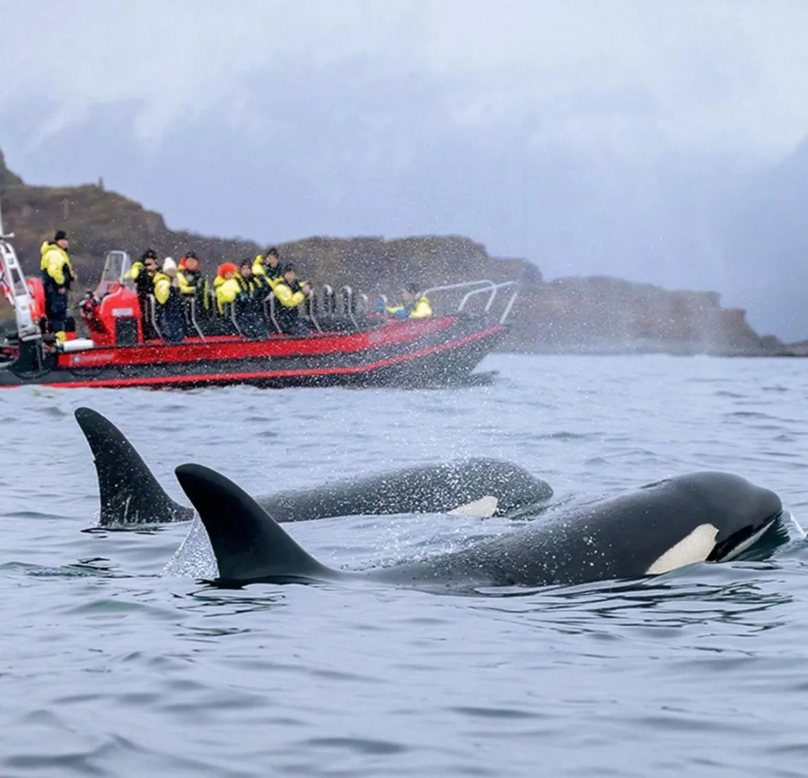 Activities in Hotel Marena