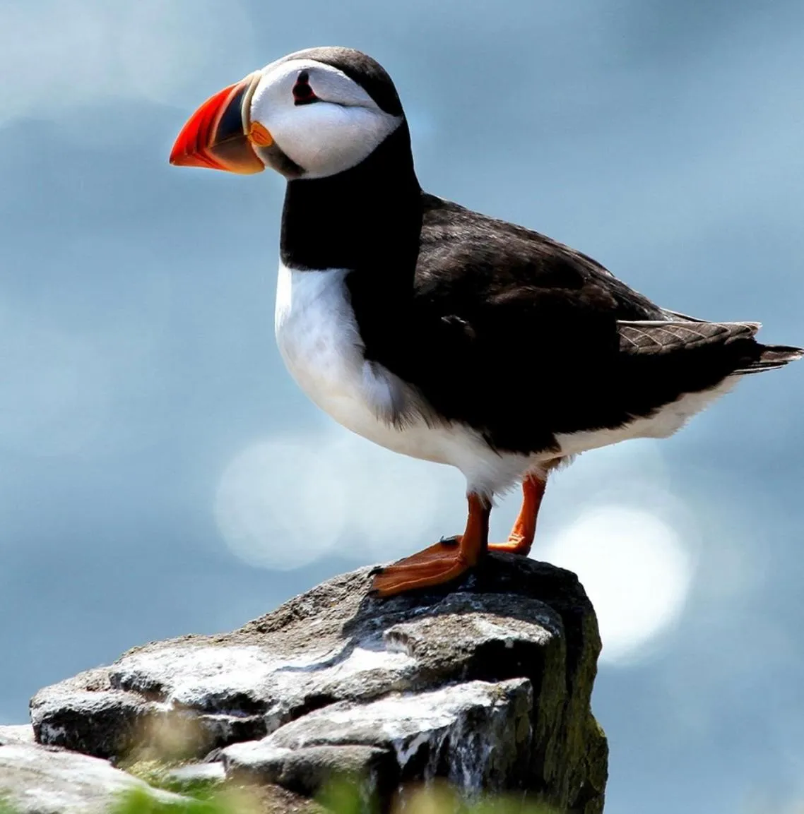 Activities in Hotel Marena