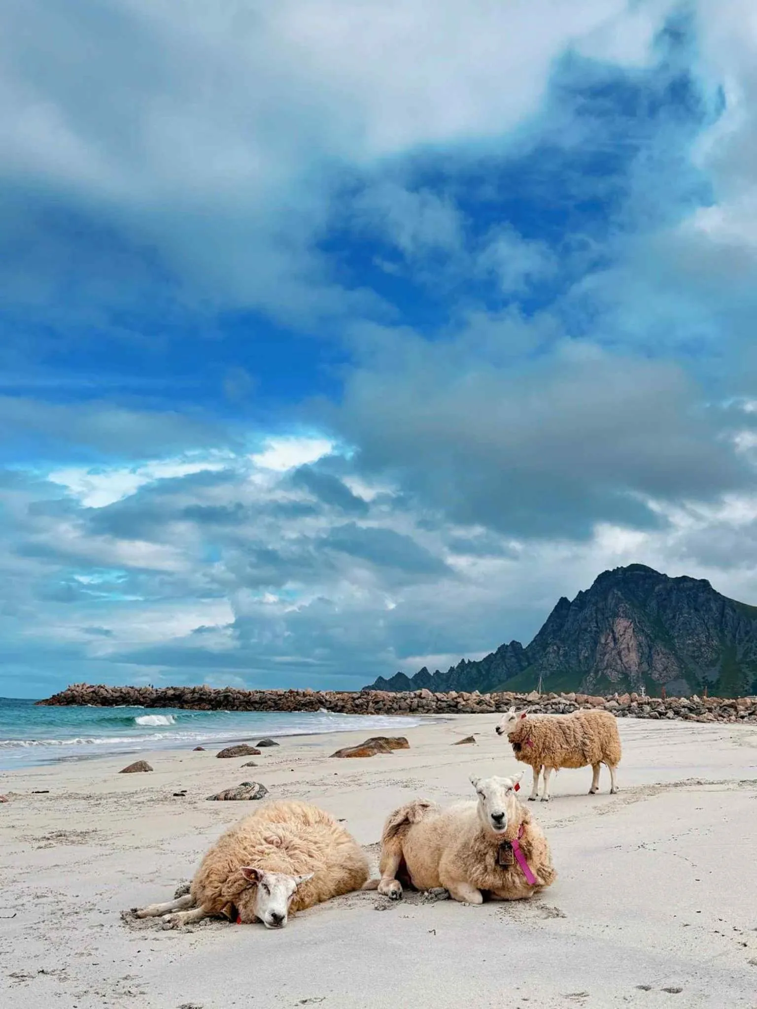 Beach in Hotel Marena