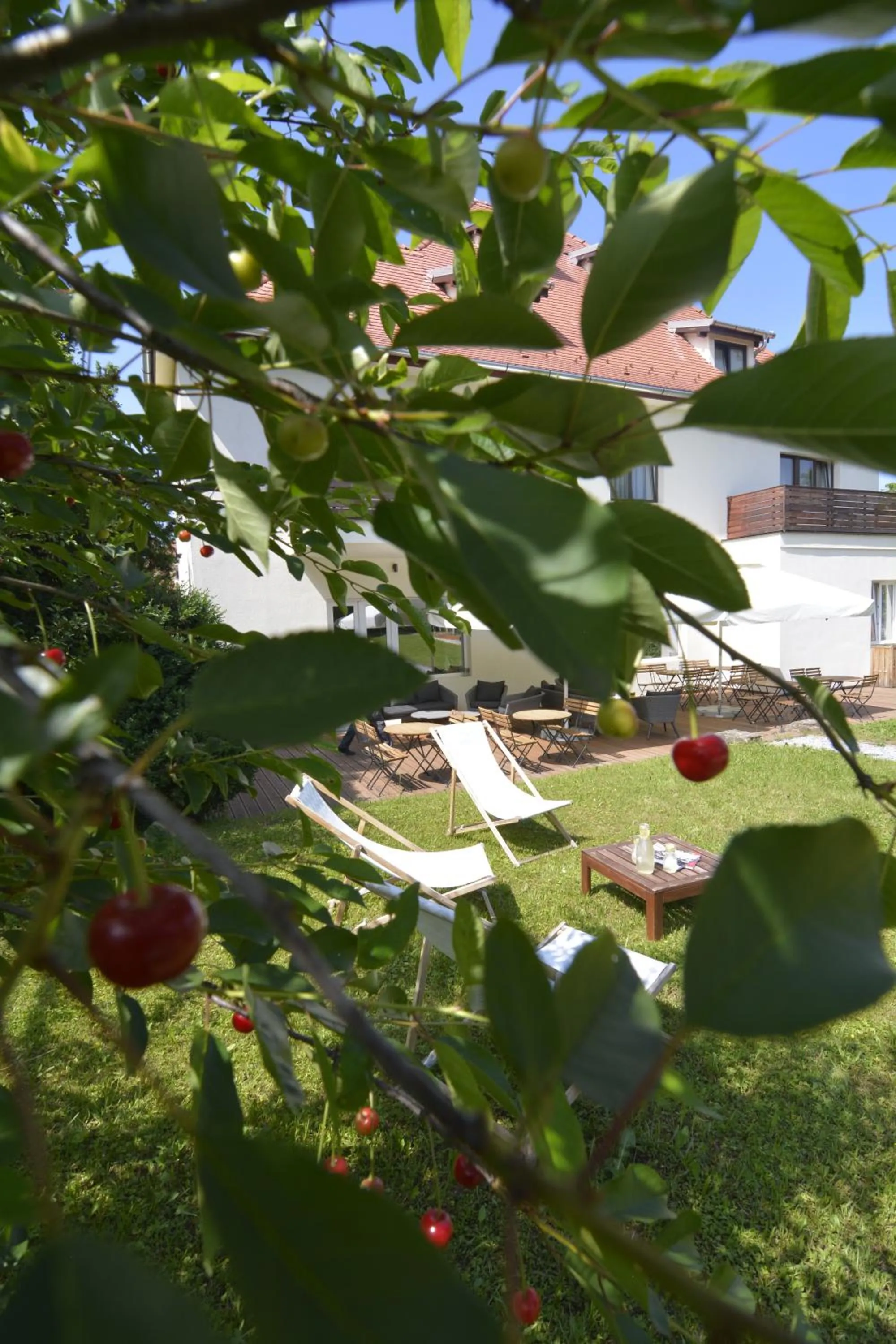 Summer in Republique