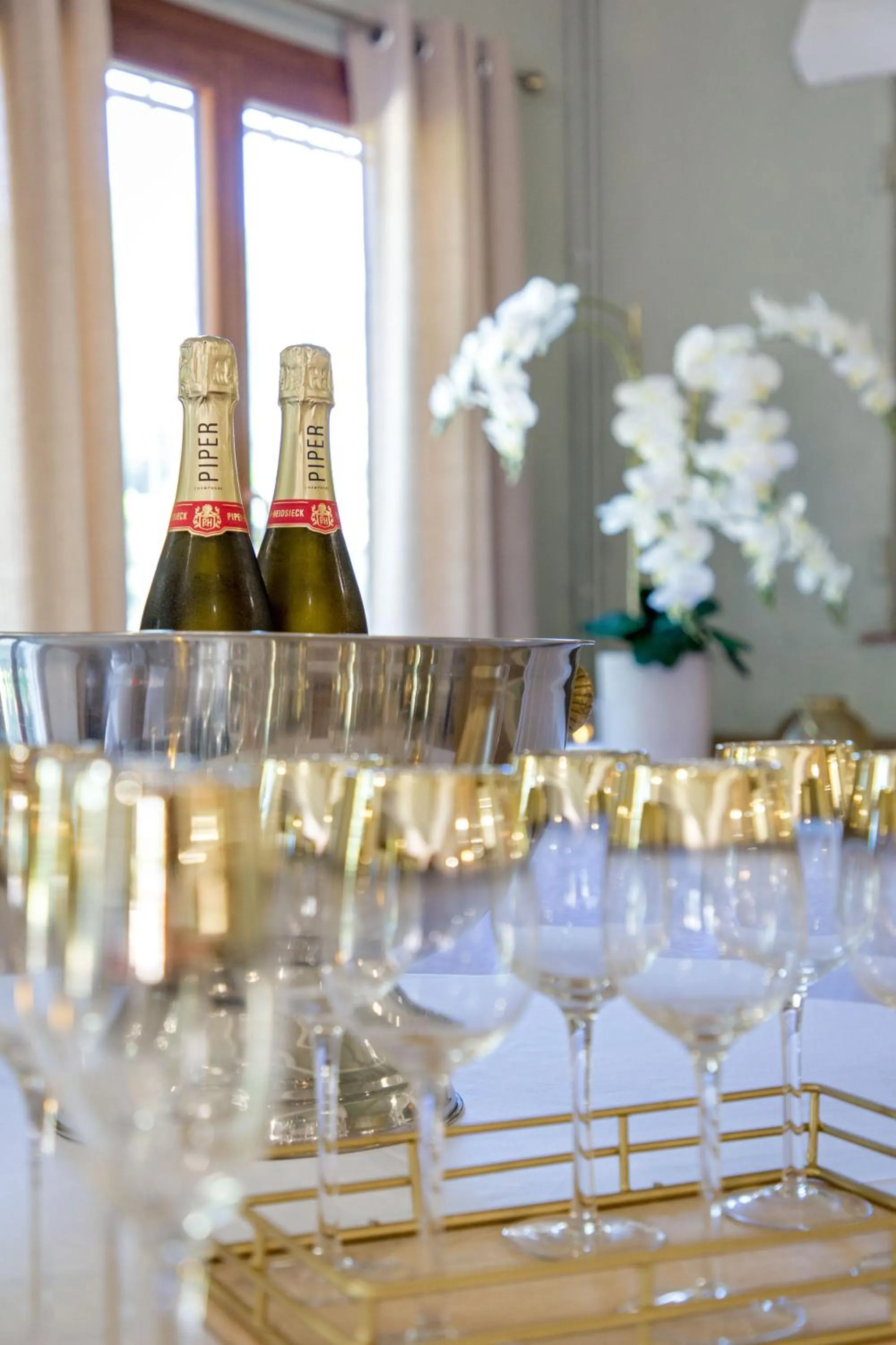 Les Pins Blancs en Provence