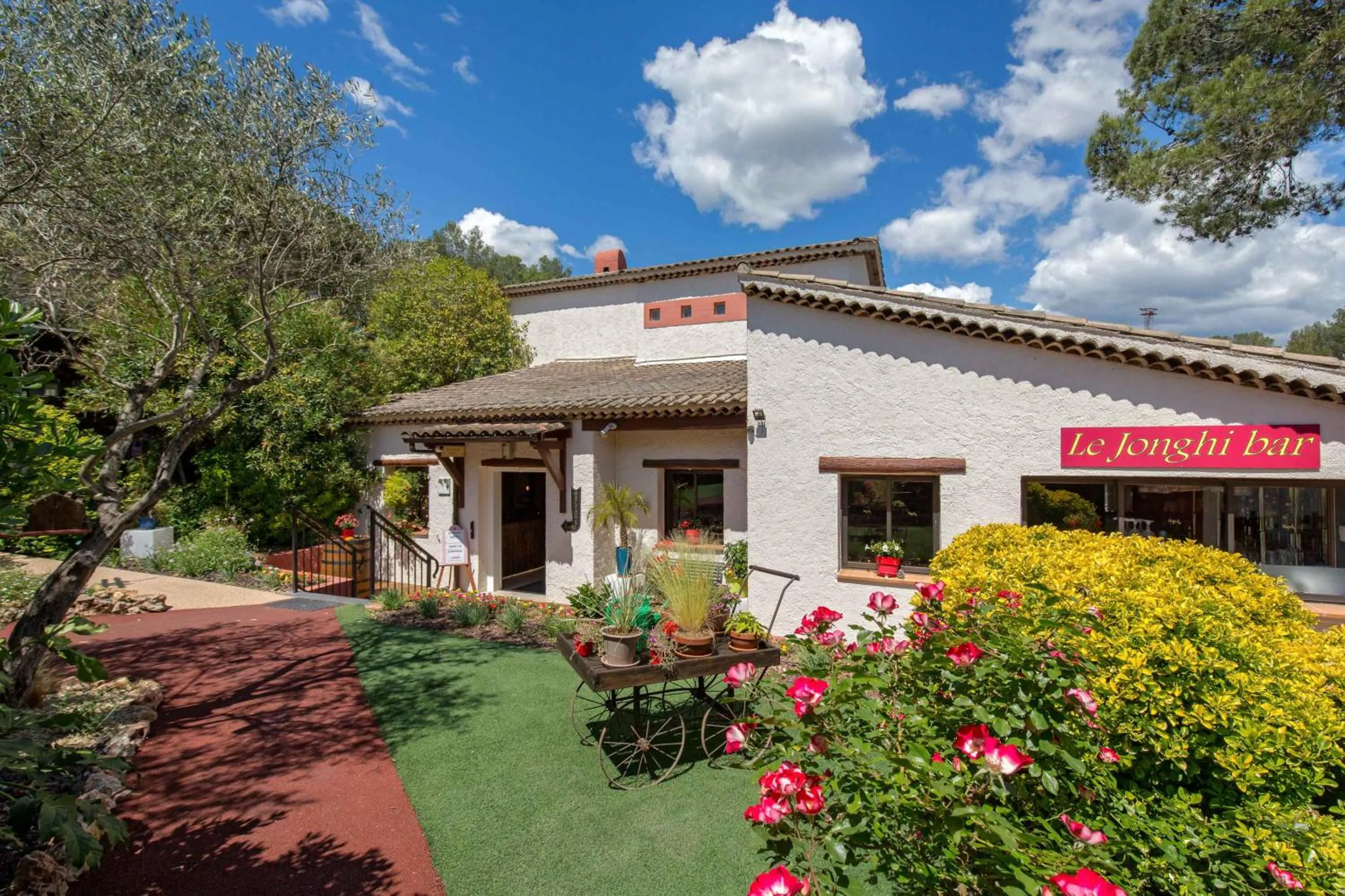 Les Pins Blancs en Provence